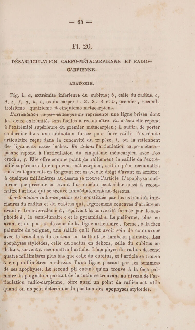 PL, 244 DÉSARTICULATION CARPO-MÉTACARPIENNE ET RADIO- CARPIENNE. ANATOMIE. Fig. 1. a, extrémité inférieure du cubitus; b, celle du radius. c, d,e, f; g, h, i, os du carpe; 1, 2, 3, 4 et 5, premier, second, troisième , quatrième et cinquième métacarpiens. L'ariiculation carpo-méiacarpienne représente une ligne brisée dont les deux extrémités sont faciles à reconnaître. En dehors elle répond à l’extrémité supérieure du premier métacarpien ; il suffira de porter ce dernier dans une adduction forcée pour faire saillir l'extrémité - articulaire reçue dans la concavité du trapèze, t, où la retiennent des ligaments assez lâches. En dedans l'articulation carpo-métacar- pienne répond à l’articulation du cinquième métacarpien avec l’os crochu, f. Elle offre comme point de ralliement la saillie de l’extré- mité supérieure du cinquième métacarpien , saillie qu’on reconnaîtra sous les téguments en longeant cet os avec le doigt d'avant en arrière: à quelques millimètres au dessus se trouve l’article L’apophyse unci- forme que présente en avant l'os crochu peut aider aussi à recon- naître l’article qui se trouve immédiatement au-dessous. L’articulation radio-carpienne est constituée par les extrémités infé- _rieures du radius et du cubitus qui, légèrement concaves d’arrière en ‘avant et transversalement, reçoivent la convexité formée par le sca- phoïde d, le semi-lunaire c et le pyramidal e. Le pisiforme, plus en avant et un peu au-dessous de la ligne articulaire, forme, à la face palmaiïre du poignet, une saillie qu’il faut avoir soin de contourner “avec le tranchant du couteau en taillant le lambeau palmaire. Les apophyses styloïdes, celle du radius en dehors, celle du cubitus en ‘dedans, servent à reconnaître l’article. L’apophyse du radius descend quatre millimètres plus bas que celle du cubitus, et l’article se trouve à cinq millimètres au-dessus d’une ligne passant par les sommets de ces apophyses. Le second pli cutané qu’on trouve à la face pal- . maire du poignet en partant de la main se trouvant au niveau de l’ar- > ticulation radio-carpienne, offre aussi un point de ralliement utile quand on ne peut déterminer la position des apophyses styloïdes. d. \ #
