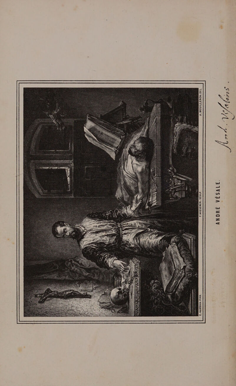 y L F.WIESENER, SCULP. E.HAMMAN.PINX. . 1S ie à 47/4 RE ANDRÉ VÉSALE.