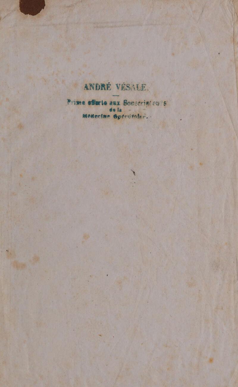 Prime efferte amx Bor:erint ous dela | Médecine @gérctilhes.