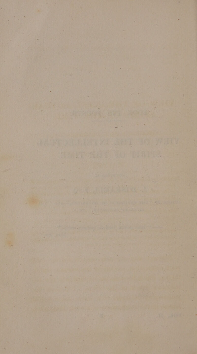 nee fo rye ? ; se ae + anne Bc Peo hed se “int ot wo. Se nn -_ ned ; . ; ae Alege br + i. Bs a cee 7 a ly Sd: m # ba ack pe, SANs Ww. hee ‘ ha oo oer tee a, fe ean ae Se \ 2 A re ° egal Nyt ear y ie i ; yes ? ‘suing se ‘ rues tae a Fe : en » | Fis = sl a it ~~ ie ob Te cat 4 ‘ ‘ ri MiP