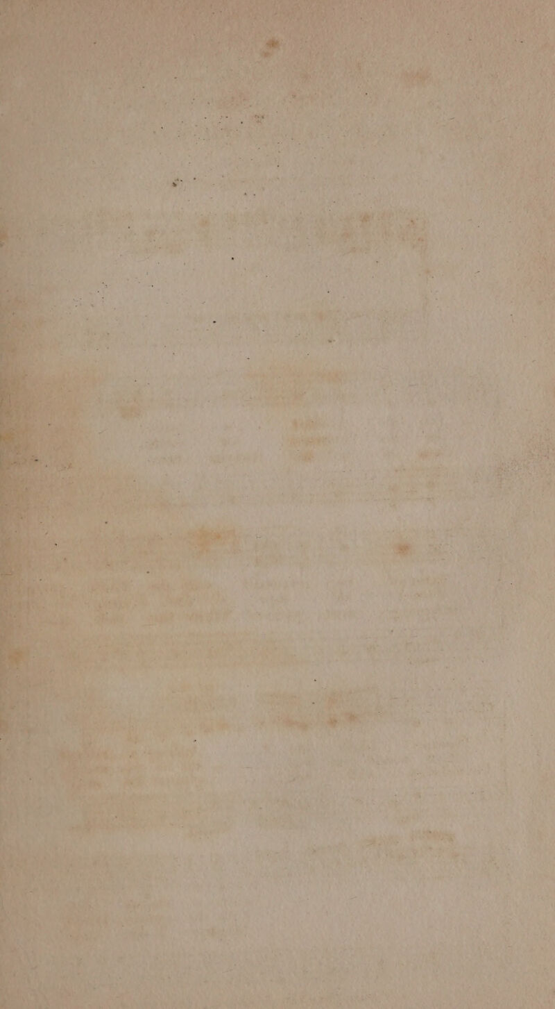 bk ety » its AO mie aah ; PrG oy eee A ON A, ‘