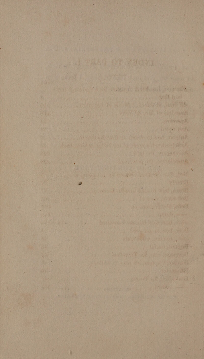 VN OPE cys qn trtiond ) te , F 2 j J . * eek thee a Pg ea , fa ana 4 % ;