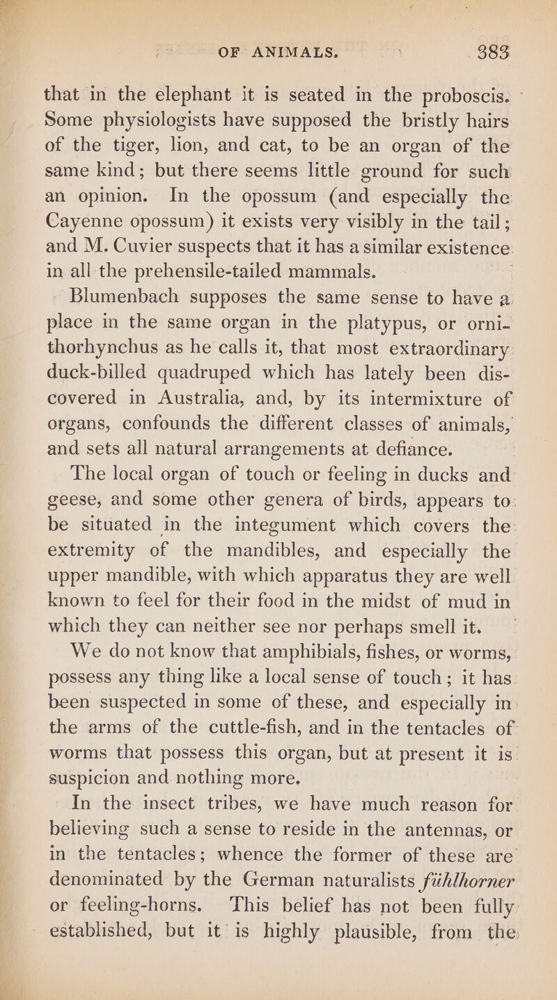 that in the elephant it is seated in the proboscis. » Some physiologists have supposed the bristly hairs of the tiger, lion, and cat, to be an organ of the same kind; but there seems little ground for such an opinion. In the opossum (and especially the Cayenne opossum) it exists very visibly in the tail; and M. Cuvier suspects that it has a similar existence in all the prehensile-tailed mammals. Blumenbach supposes the same sense to have a place in the same organ in the platypus, or orni. thorhynchus as he calls it, that most extraordinary duck-billed quadruped which has lately been dis- covered in Australia, and, by its intermixture of organs, confounds the different classes of animals, and sets all natural arrangements at defiance. The local organ of touch or feeling in ducks and geese, and some other genera of birds, appears to. be situated in the integument which covers the. extremity of the mandibles, and especially the upper mandible, with which apparatus they are well known to feel for their food in the midst of mud in which they can neither see nor perhaps smell it. We do not know that amphibials, fishes, or worms, possess any thing like a local sense of touch; it has been suspected in some of these, and especially in) the arms of the cuttle-fish, and in the tentacles of worms that possess this organ, but at present it is. suspicion and nothing more. In the insect tribes, we have much reason for believing such a sense to reside in the antennas, or in the tentacles; whence the former of these are’ denominated by the German naturalists fiuhlhorner or feeling-horns. ‘This belief has not been fully established, but it is highly plausible, from the