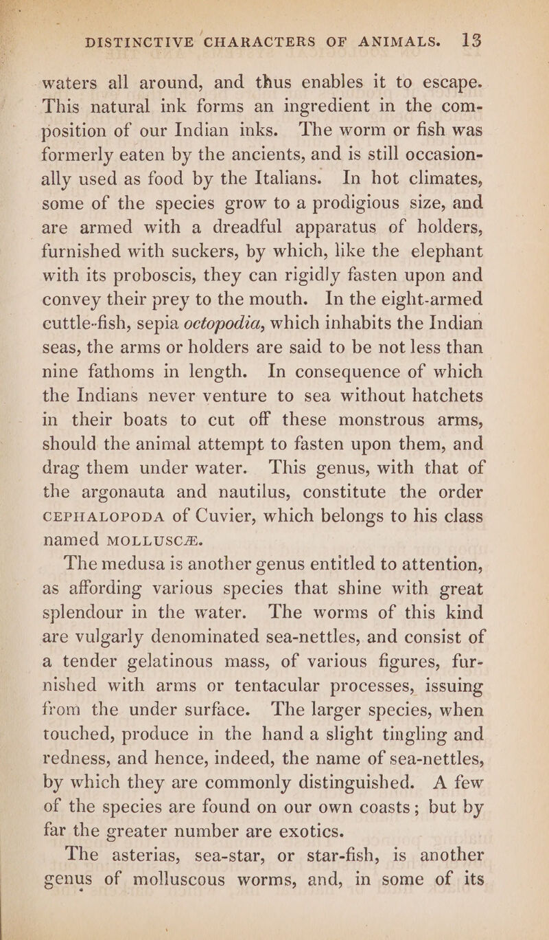 waters all around, and thus enables it to escape. This natural ink forms an ingredient in the com- position of our Indian inks. The worm or fish was formerly eaten by the ancients, and is still occasion- ally used as food by the Italians. In hot climates, some of the species grow to a prodigious size, and -are armed with a dreadful apparatus of holders, furnished with suckers, by which, like the elephant with its proboscis, they can rigidly fasten upon and convey their prey to the mouth. In the eight-armed cuttle-fish, sepia octopodia, which inhabits the Indian seas, the arms or holders are said to be not less than nine fathoms in length. In consequence of which the Indians never venture to sea without hatchets in their boats to cut off these monstrous arms, should the animal attempt to fasten upon them, and drag them under water. This genus, with that of the argonauta and nautilus, constitute the order CEPHALOPODA of Cuvier, which belongs to his class named MOLLUSC. The medusa is another genus entitled to attention, as affording various species that shine with great splendour in the water. The worms of this kind are vulgarly denominated sea-nettles, and consist of a tender gelatinous mass, of various figures, fur- nished with arms or tentacular processes, issuing from the under surface. The larger species, when touched, produce in the hand a slight tingling and redness, and hence, indeed, the name of sea-nettles, by which they are commonly distinguished. A few of the species are found on our own coasts; but by far the greater number are exotics. The asterias, sea-star, or star-fish, is another genus of molluscous worms, and, in some of its