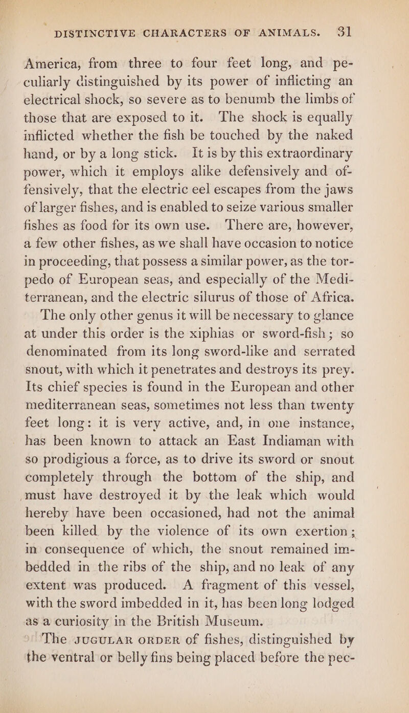America, from three to four feet long, and pe- culiarly distinguished by its power of inflicting an electrical shock, so severe as to benumb the limbs of those that are exposed to it. The shock is equally inflicted whether the fish be touched by the naked hand, or by a long stick. It is by this extraordinary power, which it employs alike defensively and of- fensively, that the electric eel escapes from the jaws of larger fishes, and is enabled to seize various smaller fishes as food for its own use. ‘There are, however, a few other fishes, as we shall have occasion to notice in proceeding, that possess a similar power, as the tor- pedo of European seas, and especially of the Medi- terranean, and the electric silurus of those of Africa. The only other genus it will be necessary to glance at under this order is the xiphias or sword-fish; so denominated from its long sword-like and serrated snout, with which it penetrates and destroys its prey. Its chief species is found in the European and other mediterranean seas, sometimes not less than twenty feet long: it is very active, and, in one instance, has been known to attack an East Indiaman with so prodigious a force, as to drive its sword or snout completely through the bottom of the ship, and must have destroyed it by the leak which would hereby have been occasioned, had not the animal been killed by the violence of its own exertion; in consequence of which, the snout remained im- bedded in the ribs of the ship, and no leak of any extent was produced. &lt;A fragment of this vessel, with the sword imbedded in it, has been long lodged as a curiosity in the British Museum. The JUGULAR ORDER of fishes, distinguished by the ventral or belly fins being placed before the pec-