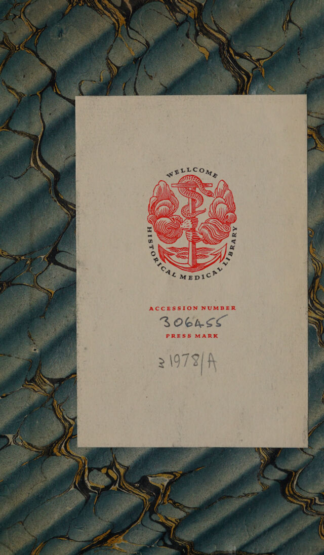 digitised image 2