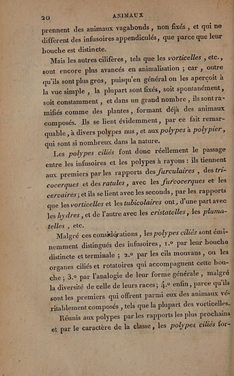 prennent des animaux vagabonds , non fixés , et qui ne diffèrent des infusoires appendiculés, que parce que leur bouche est distincte. Mais les autres cilifères, tels que les vorticelles , etc., sont encore plus avancés en animalisation ; car , Outre qu'ils sont plus gros, puisqu’en général on les apercoït à la vue simple , la plupart sont fixés, soit spontanément , soit constamment , et dans un grand nombre , 1lssont ra mifiés comme des plantes, formant déjà des animaux composés. Ils se lient évidemment, par ce fait remar- quable , à divers polypes nus , et aux polypes à polypier, qui sont si nombreux dans la nature. Les polypes ciliés font donc réellement le passage entre les infusoires et les polypes à rayons : ils tiennent aux premiers par les rapports des furculaires , des tri- cocerques et des ratules , avec les furcocerques eb les cercaires ; et ils se lient avec les seconds, par les rapports que les vorticelles et les tubicolaires ont, d’une partavec les kydres , et de l'autre avec les cristatelles, les pluma- telles , etc. * Maloré ces considérations les polypes ciliés sont émi- re ? sont les premiers qui offrent parmi eux des animaux véi ritablement composés , tels que la plupart des vorticelles. Réunis aux polypes par les rapports les plus prochains et par le caractère de la classe, les polypes cüliés for-