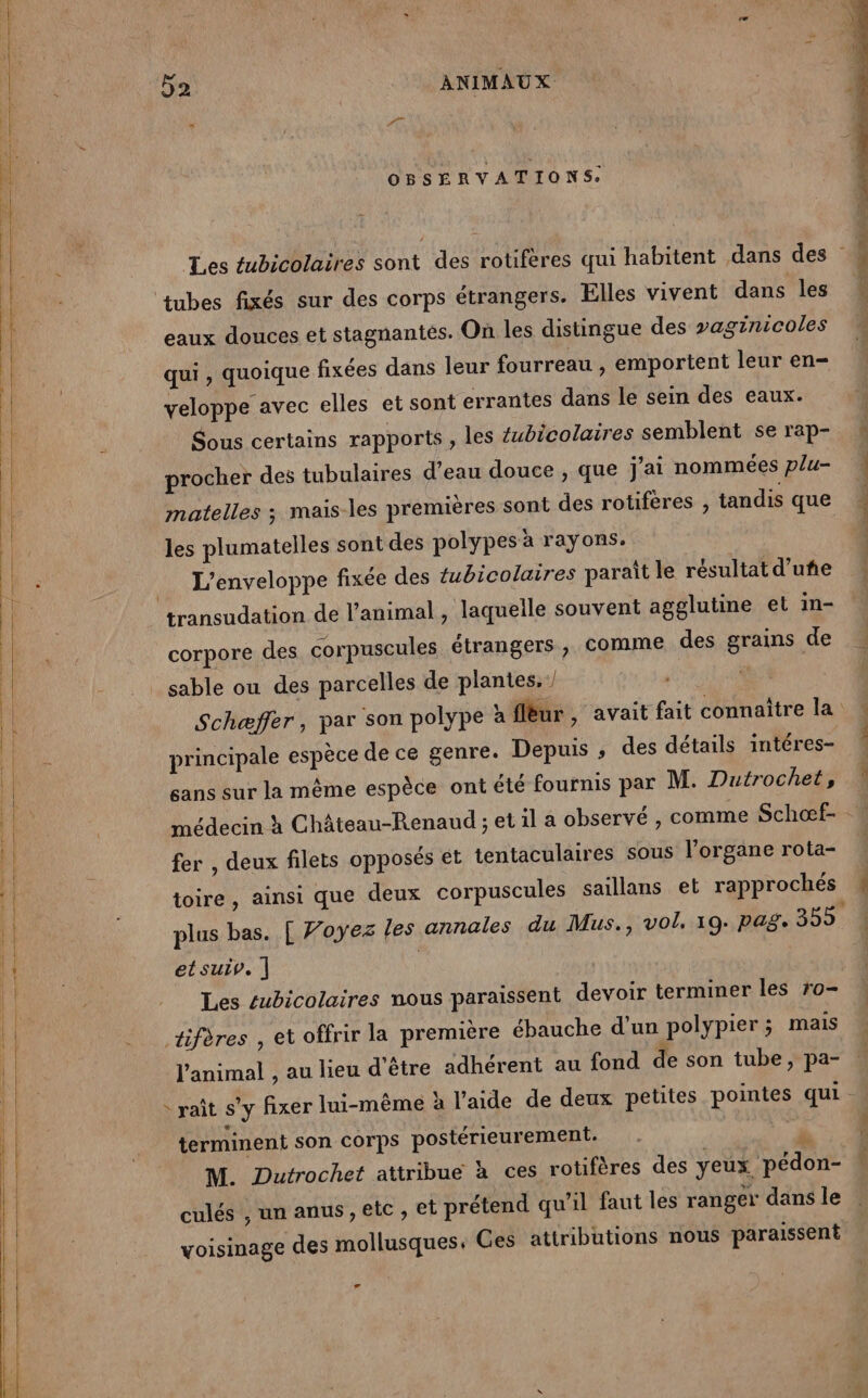 w OT OBSERVATIONS: tubes fixés sur des corps étrangers. Elles vivent dans les eaux douces et stagnantes. On les distingue des vaginicoles | qui , quoique fixées dans leur fourreau , emportent leur en- | veloppe avec elles et sont errantes dans le sein des eaux. Sous certains rapports , les tubicolaires semblent se rap- procher des tubulaires d’eau douce , que j'ai nommées plu- matelles ; mais-les premières sont des rotiferes , tandis que {4 les plumatelles sont des polypes à rayons. L’enveloppe fixée des tubicolaires paraît le résultat d’uñe transudation de l'animal , laqueile souvent agglutine et in- | 0m corpore des corpuscules étrangers , comme des grains de _ sable ou des parcelles de plantes, / | Schæffer, par son polype à fur , avait fait connaître la RE Le principale espèce de ce genre. Depuis , des détails intéres- LL sans sur la même espèce ont été fournis par M. Dutrochet, | | médecin à Château-Renaud ; et il a observé , comme Schœf- | fer , deux filets opposés et tentaculaires sous l’organe rota- | toire, ainsi que deux corpuscules saillans et rapprochés { plus bas. [ Voyez les annales du Mus., vol, 19. pag. 355 | | | | | | Les fubicolaires sont des rotifères qui habitent dans des « EN Te PR PSI UE. le S etsuiv. | || _ Les subicolaires nous paraissent devoir terminer les ro- tifères , et offrir la première ébauche d’un polypier; mais l'animal , au lieu d'être adhérent au fond de son tube, pa- : raît s’y fixer lui-même à l’aide de deux petites pointes qui. terminent son corps postérieurement. w M. Dutrochet attribue à ces rotifères des yeux pédon- culés , un anus, etc , et prétend qu’il faut les ranger dans le voisinage des mollusques, Ges attributions nous paraissent mme Ld