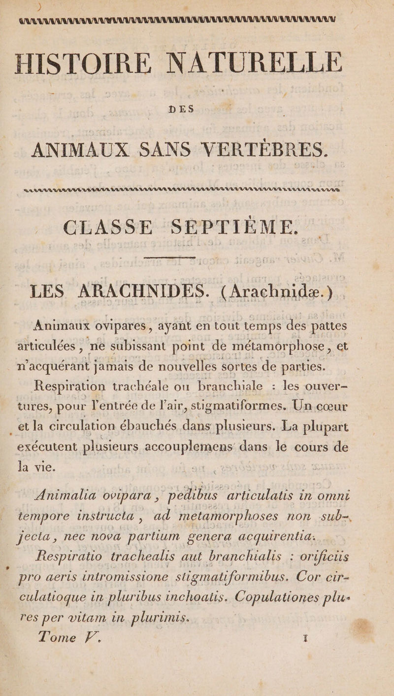 ) | ’ HISTOIRE NATURELLE # DES ANIMAUX SANS VERTÈBRES. CLASSE SÉPTIÈME. LES ARACHNIDES. (Arachnidæ.). Animaux oviparés , ayant en tout temps des pattes articulées , ne subissant point de métamorphose, et n'acquérant jamais de nouvelles sortes de parties. Respiration trachéale où branchiale : les ouver- tures, pour l'entrée de Pair, stigmatiformes, Un cœur exécutent plusieurs accouplemens dans le cours de la vie. Animalia ovipar&amp; , pedibus articulatis in omni tempore instr ucta , ad metarmor phoses non sub- Jecta, nec nova par tium gencra acquirentia: Respiratio trachealis aut branchialis : orificiis pro aeris intromissione stigmatiformibus. Cor cir- culatioque in pluribus inchoatis. Copulationes plu- res per vilam in plurimis. Tome F. | ë