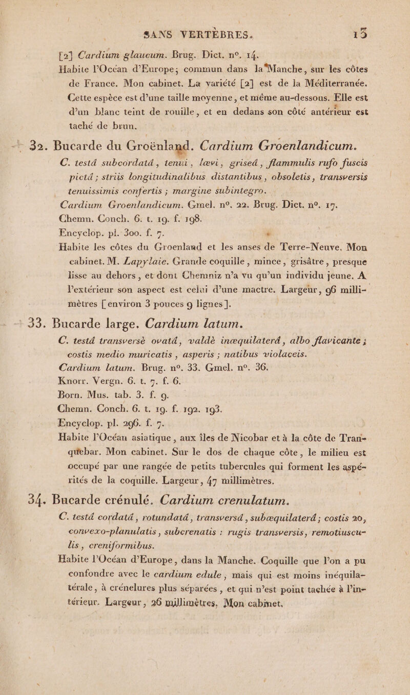 [2] Cardium glaucum. Brug. Diet. n°. 14. Habite l'Océan d'Europe; commun dans laManche, sur les côtes de France. Mon cabinet. La variété [2] est de la Méditerranée. Cette espèce est d’une taille moyenne, et même au-dessous. pie est d’un blanc teint de rouille, et en dedans son côté antérieur est taché de brun. 32. Bucarde du Groënland. Cardium Groenlandicum. C. testä subcordatd, tenui, lævi, grise&amp;, flammulis rufo fuscis pictd ; strüs longitudinalibus distantibus, obsoletis, transversis tenuissimis confertis ; margine subintegro. Cardium Groenlandicum. Gmel. n°. 22. Brug. Diet. n°. 17. Chemm. Conch. 6. t. 19. f. 198. Encyclop. pl. 300. f. ». + Habite les côtes du Groenland et les anses de Terre-Neuve. Mon cabinet. M. Lapylaie. Grande coquille, mince, grisâtre , presque lisse au dehors , et dont Chemniz n’a vu qu’un individu jeune. A l'extérieur son aspect est celui d’une mactre. Largeur, 96 milli- \ mètres [environ 3 pouces 9 lignes ]. 33. Bucarde large. Cardium latum. C. testd transversè ovat&amp;, valdè inæquilateré, albo flavicante ; costis medio muricatis , asperis ; natibus violaceis. | Cardium laium. Brug. n°. 33. Gmel. n°. 36. Knorr. Vergn. 6. t. 7. f. 6. Born. Mus. tab. 3. f. o. Chemn. Conch. 6. t. 19. f. 192. 193. Encyclop. pl. 296. f. 7. Habite l'Océan asiatique , aux îles de Nicobar et à la côte de Tran- quebar. Mon cabinet. Sur le dos de chaque côte, le milieu est occupé par une rangée de petits tubercules qui forment les aspé- rités de la coquille. Largeur, 47 millimètres. 34. Bucarde crénulé. Cardium crenulatum. C. testé cordatü , rotundaté , transversd , subæquilaterd ; costis 20, convexo-planulatis, subcrenatis : rugis transversis, remotiuscu- lis, creniformibus. Habite l'Océan d'Europe, dans la Manche. Coquille que l’on a pu confondre avec le cardium edule , mais qui est moins inéquila- térale, à crénelures plus séparées , et qui n’est point tachée à l’in- térieur. Largeur, 26 mullimètres, Mon cabinet.