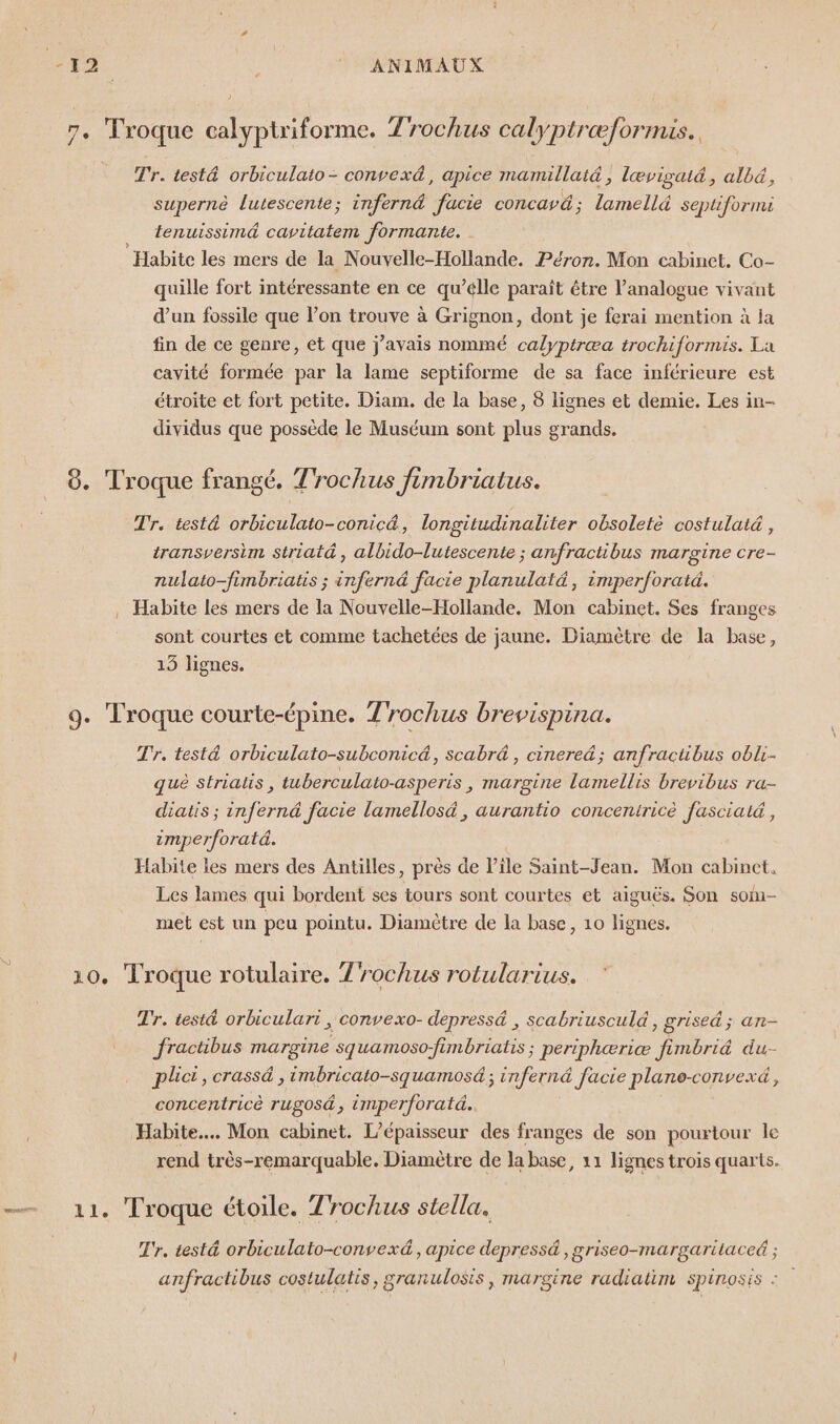-12 © ANIMAUX 7. Troque calyptriforme. Zrochus calyptræformis.. Tr. test&amp; orbiculato- convex&amp;, apice mamillatd , lævigat&amp;, allé, supernè lutescente; infern&amp; fucie concavä; lamelld septiforme _ tenuissimd cavitatem formante. Habite les mers de la Nouvelle-Hollande. Péron. Mon cabinet. Co- quille fort intéressante en ce qu’elle paraît être l’analogue vivant d’un fossile que l’on trouve à Grignon, dont je ferai mention à la fin de ce genre, et que j'avais nommé calyptræa trochiformis. La cavité formée par la lame septiforme de sa face inférieure est étroite et fort petite. Diam. de la base, 8 lignes et demie. Les in- dividus que possède le Muséum sont plus grands. 8. Troque frangé. Trochus fimbriatus. Tr. test&amp; orbiculato-conicé., longitudinaliter oësoleté costulatä, transversim striaté , albido-lutescente ; anfractibus margine cre- nulato-fimbriatis ; infernd facie planulatä, imperforatd. , Habite les mers de la Nouvelle-Hollande. Mon cabinet. Ses franges sont courtes et comme tachetées de jaune. Diamètre de la base, 13 lignes. 9. Troque courte-épine. T'rochus brevispina. Tr. test orbiculato-subconicé, scabr&amp; , cinered; anfractibus obli- qué Strialis , tuberculato-asperis , margine lamellis brevibus ra- diatis ; inferné facie lamellosä, aurantio concentiricè fasciaté, zmper/oratd. Habite les mers des Antilles, près de lile Saint-Jean. Mon cabinet. Les lames qui bordent ses tours sont courtes et aiguës. Son som- met est un peu pointu. Diamètre de la base, 10 lignes. 10. Troque rotulaire. Trochus rotularius. Tr. testé orbiculart, convexo- depressé , scabriusculd, grise; an- fractibus margine squamoso-fimbriatis ; periphæriæ fimbriä du- plict, crassä , imbricato-squamosé ; inferné facie plane-convexé, concentricè rugosé, imperforatd.. Habite... Mon cabinet. L’épaisseur des franges de son pourtour le rend très-remarquable. Diamètre de la base, 11 lignes trois quarts. 11. Troque étoile. Trochus stella. Tr. test@ orbiculato-convexé, apice depressé , griseo-margarilaceé ; anfractibus costulatis, granulosis, margine radiatim spinosis :