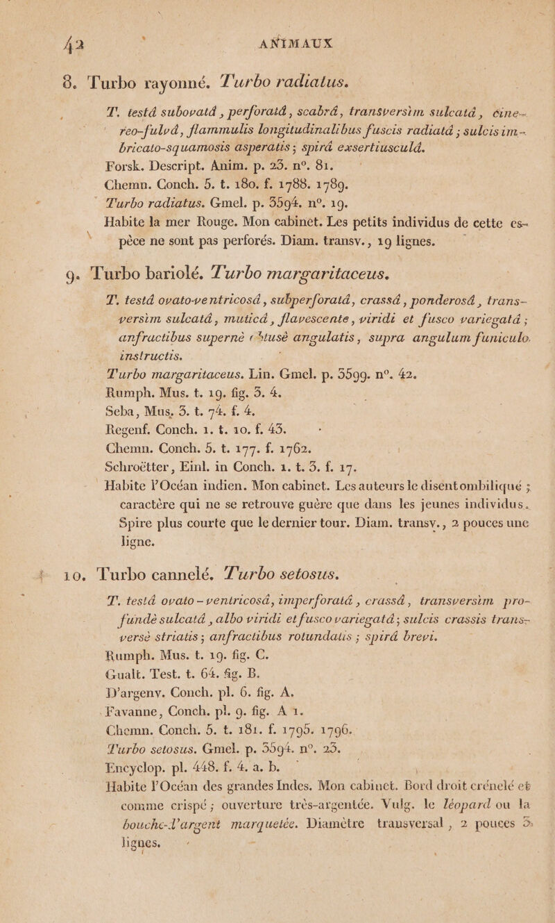 Ÿ T, test4 subovatd , perforat&amp;, scabr&amp;, transversim sulcatä, &amp;ne- reo-fulvd, flammulis longitudinalibus fuscis radiatd ; sulcisim bricato-squamosis asperatis ; Spir4 exsertiusculd. Forsk. Descript. Anim. p. 25. n°. 81. Chemn. Conch. 5. t. 180. f. 1788. 1789. Habite la mer Rouge. Mon cabinét. Les petits individus de cette es- pèce ne sont pas perforés. Diam. transv., 19 Henes. 10 T', testé ovatoventricosé , subperforaté, crass&amp;, ponderosé , trans- versim sulcat&amp;, muticd, flavescente, viridi et fusco variegatdä ; anfractibus supernè « ps angulatis, supra angulum funiculo. instructis. T'urbo margaritaceus. Lin. Gmel. p. 5599. n°. 42. Rumph. Mus. t. 19. fig. 3. 4. Seba, Mus. 3. t. 74. f. &amp;, Regenf. Conch. 1. t. 10. f, 43. Chemn. Conch. 5. t. 177. f. 1762. Schroëtter, Einl. in Conch. 1. t. 3. f. 17. Habite l'Océan indien. Mon cabinet. Les auteurs le disentombiliqué ; caractère qui ne se retrouve guère que dans les jeunes individus. Spire plus courte que le dernier tour. Diam. transv., 2 pouces une Lgne. T', tesiä&amp; ovato-ventricosä, imperforat&amp; , crass&amp;, transversim pro- fundè sulcat&amp; , albo viridi et fuscovariegatd; sulcis crassis trans- verse striats; anfractibus rotundatis ; spir&amp; brevi. Rumph. Mus. t. 19. fig. C. Gualt. Test. t. 64. fg. B. D'argenv. Conch. pl. 6. fig. A. Chemn. Conch. 5. t. 181. f. 1795. 1700. Turbo setosus. Gmel. p. 5594. n°. 25. Encyclop. pl. 448. f. 4 a. b. Habite l'Océan des grandes Indes. Mon cabinet. Bord droit crénelé eë comme crispé; ouverture très-argentée. Vulg. le Zéopard ou la bouche-l'argent marquelée. Diamètre transversal, 2 pouces # ligues. -