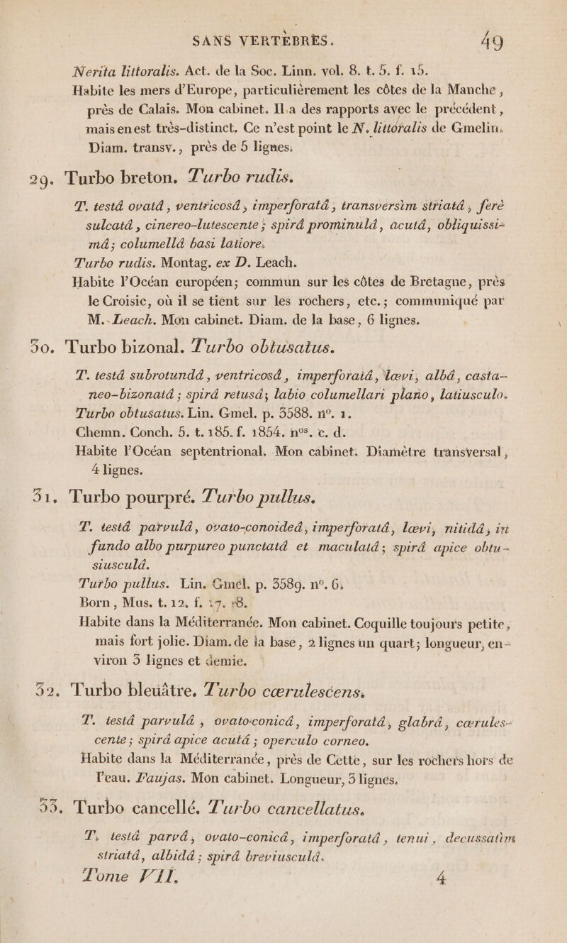 Nerita littoralis. Act. de la Soc. Linn. vol. 8. t. 5, f. 15. Habite les mers d'Europe, particulièrement les côtes de la Manche , près de Calais. Mon cabinet. IlL.a des rapports avec le précédent, maisenest très-distinct. Ce n’est point le W. ditéralis de Gmelin. Diam. transv., près de 5 lignes; | 29. Turbo breton. Turbo rudis. T! testé ovatd , ventricosé, imperforatà ; transversim slriat4, feré sulcat&amp; , cinereo-lutescente ; spird prominuld, acutd, a mé; columellé basi laiiore. Turbo rudis. Montag. ex D. Leach. | Habite l'Océan européen; commun sur les côtés de Bretagne, près le Croisic, où il se tient sur les rochers, etc.; communiqué par M. Leach. Mon cabinet. Diam. de la base, 6 lignes. 50. Turbo bizonal. Turbo obtusatus. T. test&amp; subrotunddä , ventricosd, imperforaid, læœvi, albé, casta- neo-bizonatä ; spirä retusd; labio columellari plaño, latiusculo. Turbo obtusatus. Lin. Gmel. p. 5588. n°. 1. Chemn. Conch. 5. t.185.f. 1854. n°%. c. d. Habite l'Océan septentrional, Mon cabinet, Diamètre transversal, 4 lignes. 51. Turbo pourpré. T'urbo pullus. T, est&amp; parvul&amp;, ovato-conoided, imperforaté, lœvi, nitidä, ir Jfundo albo purpureo punctaté et maculat4; spir&amp; apice obtu- stuscul&amp;. Turbo pullus. Lin. Gmél, p. 3589. n°. 6. Born, Mus, t.12, f. 17. 8. Habite dans la MA. Mon cabinet. Coquille toujours petite; mais fort jolie. Diam. de ia base, 2 lignes un quart; longueur, en- viron 3 lignes et äemie, 32. Turbo bleuâitre., Z'urbo cæœrulescens. T. test@ parvul&amp; ; ovatoconic&amp;, imperforaté, glabr&amp;, cœrules- cente ; Spird apice acutä ; operculo corneo. Habite dans la Méditerranée, près de Cette, sur les rochers hors de l'eau. Zaujas. Mon cabinet, Longueur, 5 lignées, 33. Turbo cancellé, T'urbo cancellatus, Ti tesi&amp; parv&amp;, ovato-conicâ, imperforat@ , tenui, decussatim striatä, albidä ; spirä breviusculé. Tome V11. 4