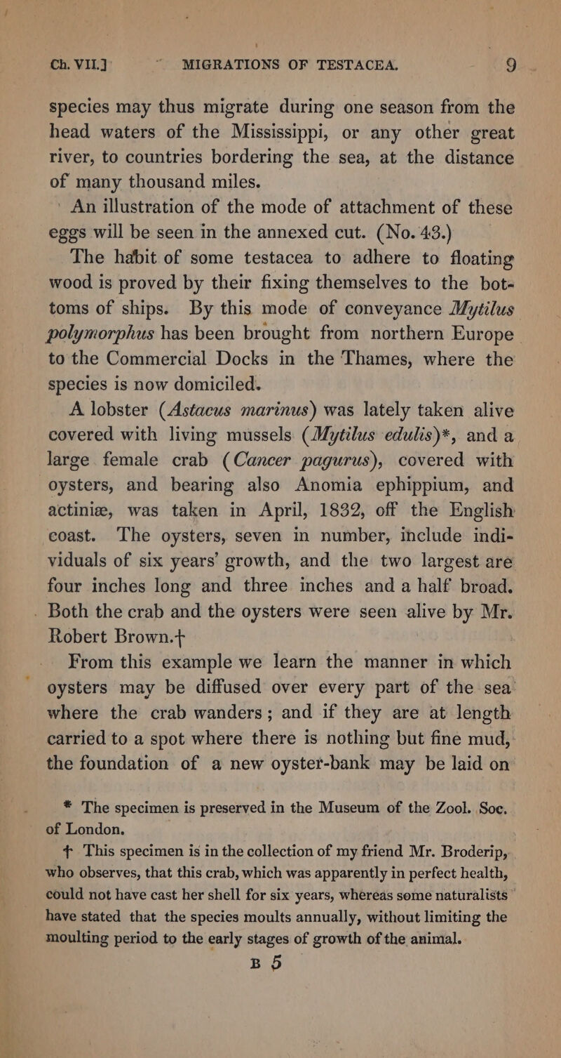 species may thus migrate during one season from the head waters of the Mississippi, or any other great river, to countries bordering the sea, at the distance of many thousand miles. ' An illustration of the mode of attachment of these eggs will be seen in the annexed cut. (No. 43.) The habit of some testacea to adhere to floating wood is proved by their fixing themselves to the bot- toms of ships. By this mode of conveyance Mytilus polymorphus has been brought from northern Europe to the Commercial Docks in the Thames, where the species is now domiciled. A lobster (Astacus marinus) was lately taken alive covered with living mussels (Mytilus edulis)*, and a large female crab (Cancer pagurus), covered with oysters, and bearing also Anomia ephippium, and actinie, was taken in April, 1832, off the English coast. The oysters, seven in number, include indi- viduals of six years’ growth, and the two largest are four inches long and three inches and a half broad. . Both the crab and the oysters were seen alive by Mr. Robert Brown.+ From this example we learn the manner in which oysters may be diffused over every part of the sea’ where the crab wanders; and if they are at length carried to a spot where there is nothing but fine mud, the foundation of a new oyster-bank may be laid on * The specimen is preserved in the Museum of the Zool. Soe. of London. {+ This specimen is in the collection of my friend Mr. Broderip, who observes, that this crab, which was apparently in perfect health, could not have cast her shell for six years, whereas some naturalists © have stated that the species moults annually, without limiting the moulting period to the early stages of growth of the animal. BOD