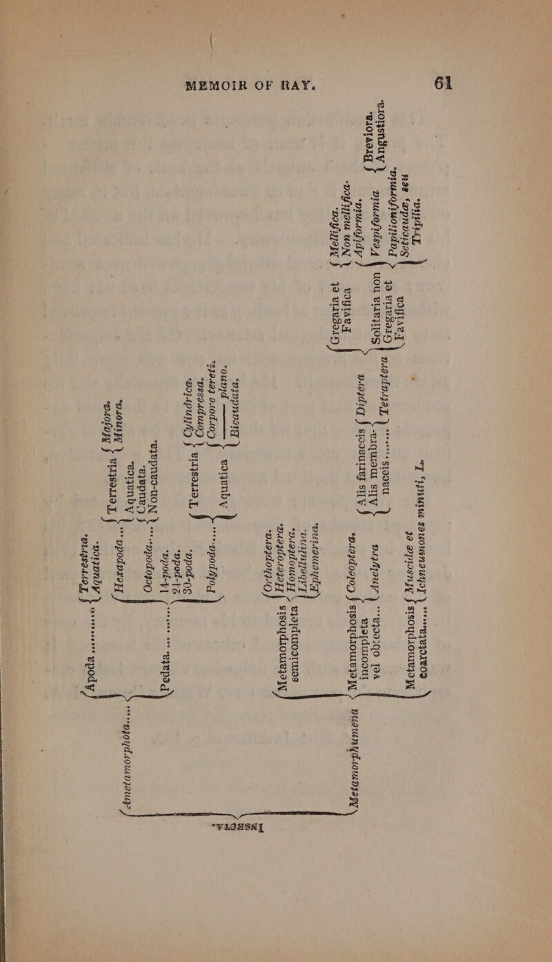 e1OlSnsuy *BLOLAIIG nae ‘Mpnyvsi29g VIVAL, pyusdofuoindnd > 45 wiiaeaiy puuwofidsay | uoU Bise}II0S “piudofidy “DOYyjau UON VOY LAR] “pay iyayl yo elredaty WT “suse SAUDUINIUYI] \ “°° ***BYEZOICOD : ya wpwsnyy § stsoydioureza W DAajndv.igay, ) °** staoeu -BIQWUIOUL SITY pighjaup ) °*°84993qO Joa } eye[dwoour PREY IORTG § sIsoydiowlejol >» BUsUnydrowmDzrapy SIOIVULIEJ SILY es 0a} pulauaydy onconoart) ‘nuagdoumoyy \, &amp;}@[dutostUIEs 7 «nuagdo.wagazy { StISOydioueza I 0.49940Y}:1O = a “DIVPNOIWT a round voenby hd 819.192 9.000.l0D “npod hod P tages ¥11}89119,,, “ppod-o¢ “ppod-fZ Rok = *ppod-F| 7 Ot Rete 800 *eIEPsq : UONT ¥ +++ --mp0d0399 -eyepne) Seite “eorjyenby ) iiedowo rr eem gy dlOUlDjIUy? odobopy f PALA ertl “DIIONBY Y eysosssseres *MtgSIdlIT, . epody