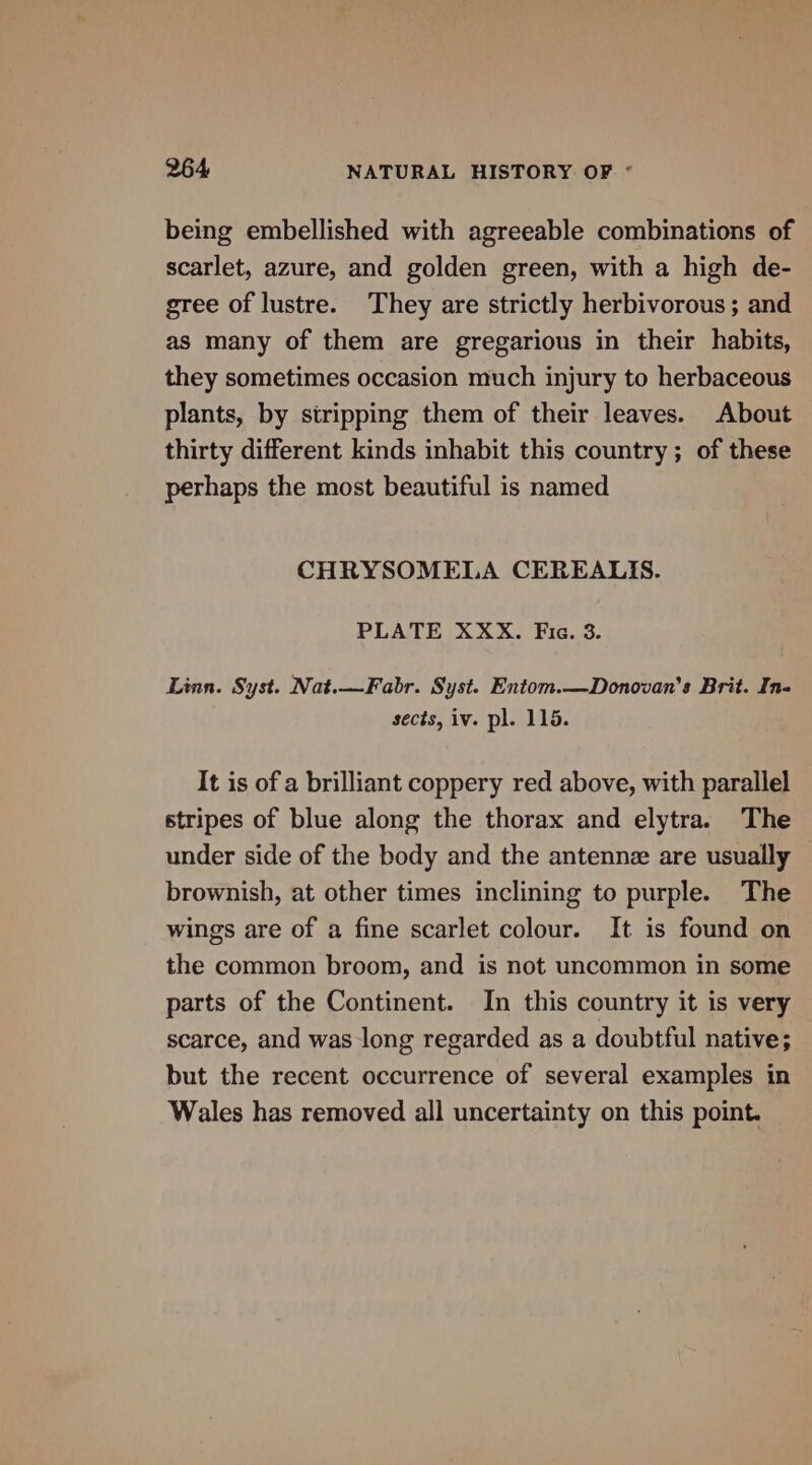 being embellished with agreeable combinations of scarlet, azure, and golden green, with a high de- gree of lustre. They are strictly herbivorous; and as many of them are gregarious in their habits, they sometimes occasion much injury to herbaceous plants, by stripping them of their leaves. About thirty different kinds inhabit this country; of these perhaps the most beautiful is named CHRYSOMELA CEREALIS. PLATE XXX. Fic. 3. Linn. Syst. Nat.—Fabr. Syst. Entom.—Donovan’s Brit. In- sects, iv. pl. 115. It is of a brilliant coppery red above, with parallel stripes of blue along the thorax and elytra. The under side of the body and the antennz are usually brownish, at other times inclining to purple. The wings are of a fine scarlet colour. It is found on the common broom, and is not uncommon in some parts of the Continent. In this country it is very scarce, and was long regarded as a doubtful native; but the recent occurrence of several examples in Wales has removed all uncertainty on this point.