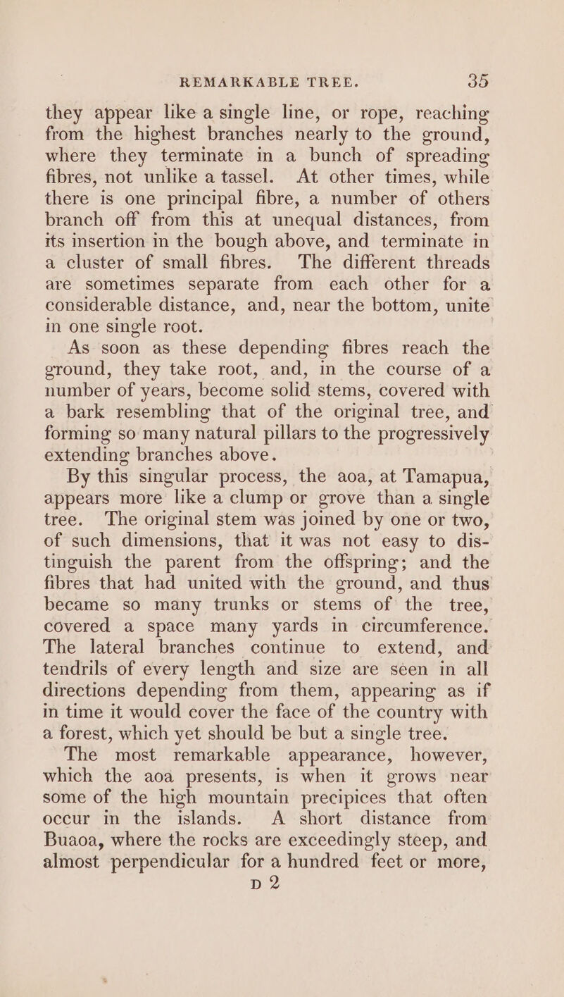 they appear like a single line, or rope, reaching from the highest branches nearly to the ground, where they terminate in a bunch of spreading fibres, not unlike a tassel. At other times, while there is one principal fibre, a number of others branch off from this at unequal distances, from its insertion in the bough above, and terminate in a cluster of small fibres. The different threads are sometimes separate from each other for a considerable distance, and, near the bottom, unite in one single root. As soon as these depending fibres reach the ground, they take root, and, in the course of a number of years, become solid stems, covered with a bark resembling that of the original tree, and forming so many natural pillars to the progressively extending branches above. By this singular process, the aoa, at Tamapua, appears more like a clump or grove than a single tree. The original stem was joined by one or two, of such dimensions, that it was not easy to dis- tinguish the parent from the offspring; and the fibres that had united with the ground, and thus became so many trunks or stems of the tree, covered a space many yards in circumference. The lateral branches continue to extend, and tendrils of every length and size are seen in all directions depending from them, appearing as if in time it would cover the face of the country with a forest, which yet should be but a single tree. The most remarkable appearance, however, which the aoa presents, is when it grows near some of the high mountain precipices that often occur in the islands. A short distance from Buaoa, where the rocks are exceedingly steep, and almost perpendicular for a hundred feet or more, D2