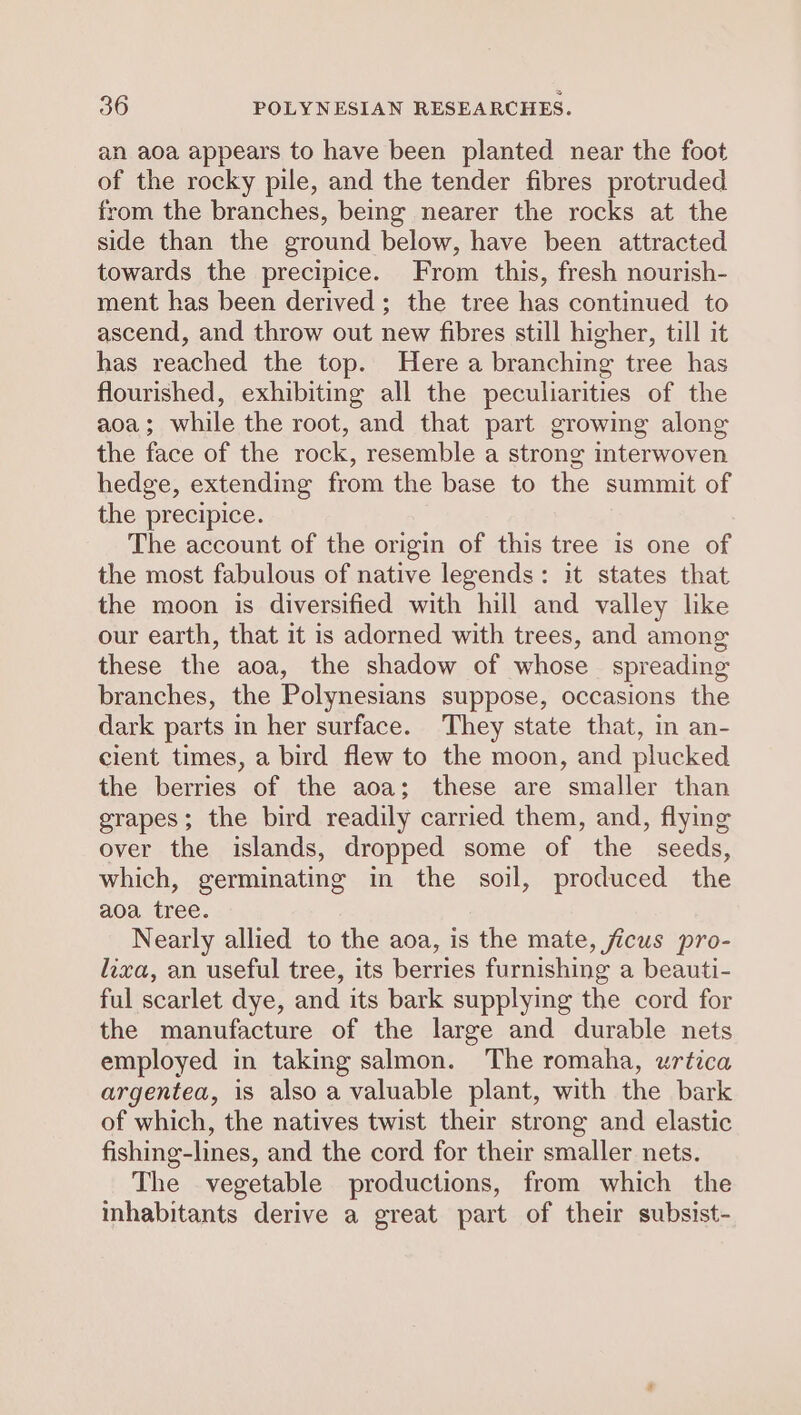 an aoa appears to have been planted near the foot of the rocky pile, and the tender fibres protruded from the branches, being nearer the rocks at the side than the ground below, have been attracted towards the precipice. From this, fresh nourish- ment has been derived; the tree has continued to ascend, and throw out new fibres still higher, till it has reached the top. Here a branching tree has flourished, exhibiting all the peculiarities of the aoa; while the root, and that part growing along the face of the rock, resemble a strong interwoven hedge, extending from the base to the summit of the precipice. The account of the origin of this tree is one of the most fabulous of native legends: it states that the moon is diversified with hill and valley like our earth, that it is adorned with trees, and among these the aoa, the shadow of whose _ spreading branches, the Polynesians suppose, occasions the dark parts in her surface. They state that, in an- cient times, a bird flew to the moon, and plucked the berries of the aoa; these are smaller than grapes; the bird readily carried them, and, flying over the islands, dropped some of the seeds, which, germinating in the soil, produced the aoa tree. Nearly allied to the aoa, is the mate, ficus pro- lixa, an useful tree, its berries furnishing a beauti- ful scarlet dye, and its bark supplying the cord for the manufacture of the large and durable nets employed in taking salmon. The romaha, urtica argentea, is also a valuable plant, with the bark of which, the natives twist their strong and elastic fishing-lines, and the cord for their smaller nets. The vegetable productions, from which the inhabitants derive a great part of their subsist-