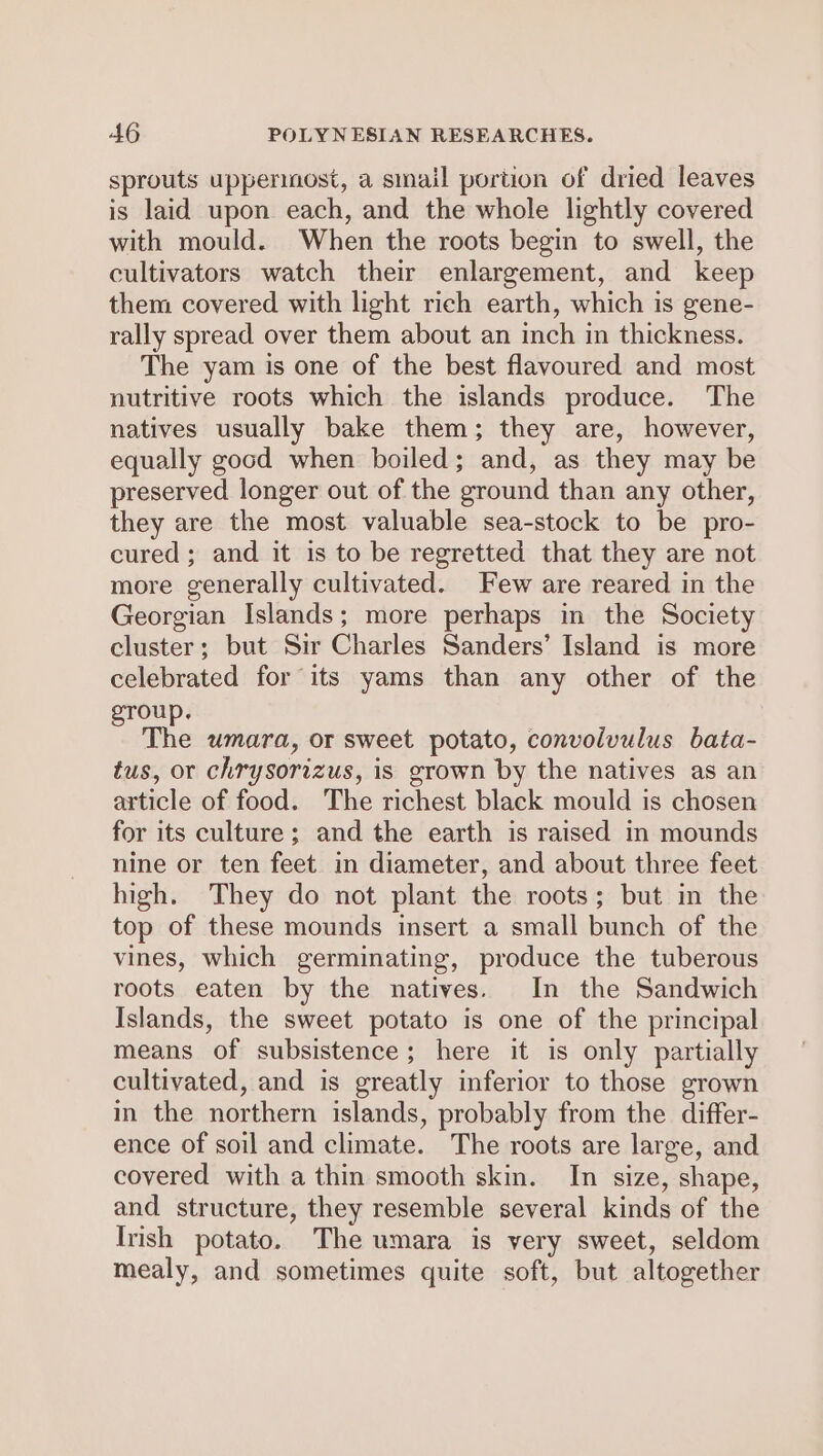 sprouts uppermost, a snail portion of dried leaves is laid upon each, and the whole lightly covered with mould. When the roots begin to swell, the cultivators watch their enlargement, and keep them covered with light rich earth, which is gene- rally spread over them about an inch in thickness. The yam is one of the best flavoured and most nutritive roots which the islands produce. The natives usually bake them; they are, however, equally good when boiled; and, as they may be preserved longer out of the ground than any other, they are the most valuable sea-stock to be pro- cured; and it is to be regretted that they are not more generally cultivated. Few are reared in the Georgian Islands; more perhaps in the Society cluster; but Sir Charles Sanders’ Island is more celebrated for its yams than any other of the group. The umara, or sweet potato, convolvulus bata- tus, or chrysorizus, is grown by the natives as an article of food. The richest black mould is chosen for its culture; and the earth is raised in mounds nine or ten feet in diameter, and about three feet high. They do not plant the roots; but in the top of these mounds insert a small bunch of the vines, which germinating, produce the tuberous roots eaten by the natives. In the Sandwich Islands, the sweet potato is one of the principal means of subsistence; here it is only partially cultivated, and is greatly inferior to those grown in the northern islands, probably from the differ- ence of soil and climate. The roots are large, and covered with a thin smooth skin. In size, shape, and structure, they resemble several kinds of the Irish potato. The umara is very sweet, seldom mealy, and sometimes quite soft, but altogether