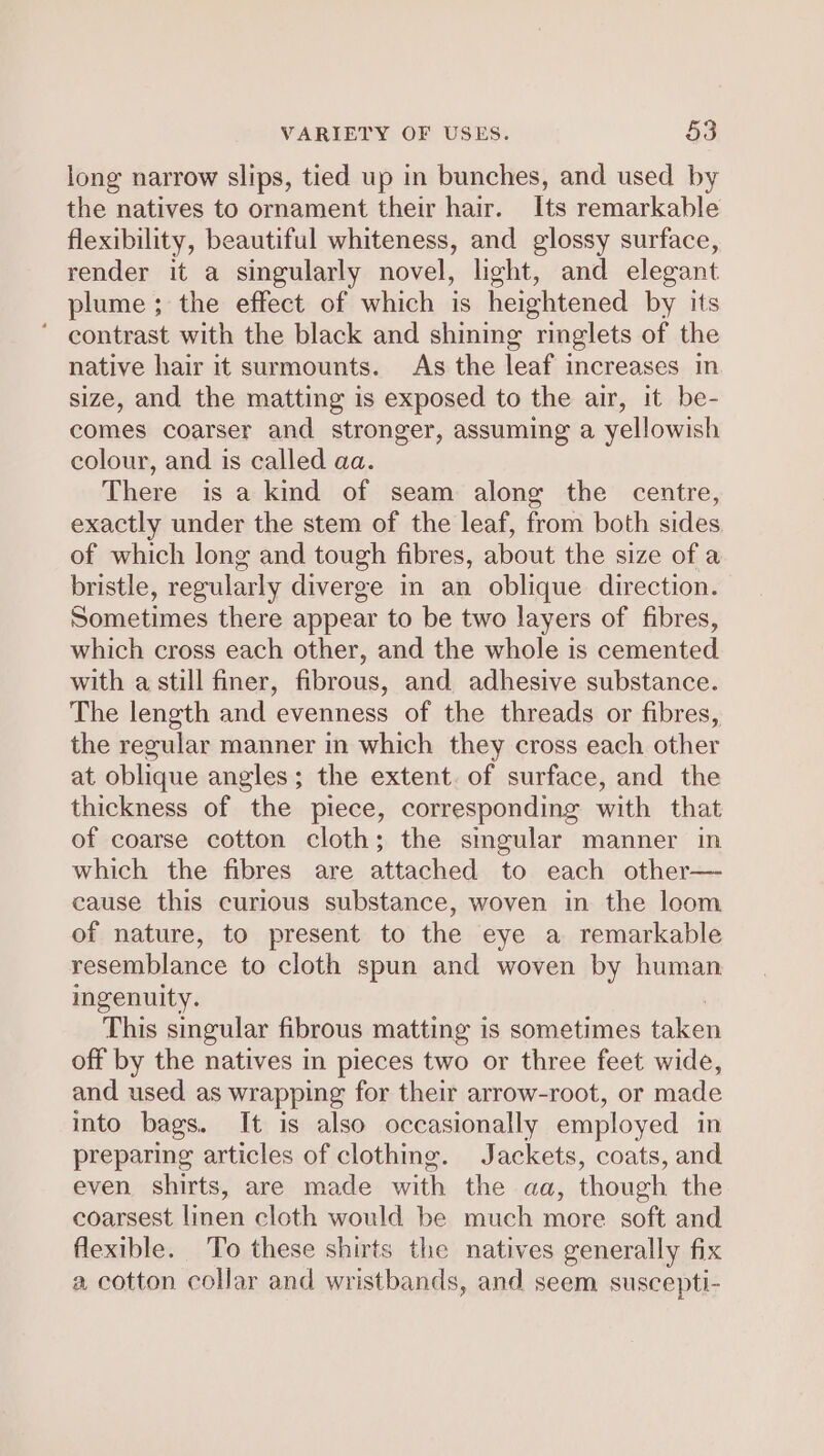 VARIETY OF USES. §3 long narrow slips, tied up in bunches, and used by the natives to ornament their hair. Its remarkable flexibility, beautiful whiteness, and glossy surface, render it a singularly novel, light, and elegant plume ; the effect of which is heightened by its contrast with the black and shining ringlets of the native hair it surmounts. As the leaf increases in size, and the matting is exposed to the air, it be- comes coarser and stronger, assuming a yellowish colour, and is called aa. There is a kind of seam along the centre, exactly under the stem of the leaf, from both sides of which long and tough fibres, about the size of a bristle, regularly diverge in an oblique direction. Sometimes there appear to be two layers of fibres, which cross each other, and the whole is cemented with a still finer, fibrous, and adhesive substance. The length and evenness of the threads or fibres, the regular manner in which they cross each other at oblique angles; the extent. of surface, and the thickness of the piece, corresponding with that of coarse cotton cloth; the smgular manner in which the fibres are attached to each other— cause this curious substance, woven in the loom of nature, to present to the eye a remarkable resemblance to cloth spun and woven by human ingenuity. This singular fibrous matting is sometimes taken off by the natives in pieces two or three feet wide, and used as wrapping for their arrow-root, or made into bags. It is also occasionally employed in preparing articles of clothing. Jackets, coats, and even shirts, are made with the aa, though the coarsest linen cloth would be much more soft and flexible. To these shirts the natives generally fix a cotton collar and wristbands, and seem suscepti-