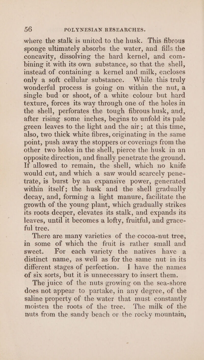 where the stalk is united to the husk. This fibrous sponge ultimately absorbs the water, and fills the concavity, dissolving the hard kernel, and com- bining it with its own substance, so that the shell, instead of containing a kernel and milk, encloses only a soft cellular substance. While this truly wonderful process is going on within the nut, a single bud or shoot, of a white colour but hard texture, forces its way through one of the holes in the shell, perforates the tough fibrous husk, and, after rising some inches, begins to unfold its pale green leaves to the light and the air; at this time, also, two thick white fibres, originating in the same point, push away the stoppers or coverings from the other two holes in the shell, pierce the husk in an opposite direction, and finally penetrate the ground. If allowed to remain, the shell, which no knife would cut, and which a saw would scarcely pene- trate, is burst by an expansive power, generated within itself; the husk and the shell gradually decay, and, forming a light manure, facilitate the growth of the young plant, which gradually strikes its roots deeper, elevates its stalk, and expands its leaves, until it becomes a lofty, fruitful, and grace- ful tree. There are many varieties of the cocoa-nut tree, in some of which the fruit is rather small and sweet. For each variety the natives have a distinct name, as well as for the same nut in its different stages of perfection. I have the names of six sorts, but it is unnecessary to insert them. The juice of the nuts growing on the sea-shore does not appear to partake, in any degree, of the saline property of the water that must constantly moisten the roots of the tree. The milk of the nuts from the sandy beach or the rocky mountain,