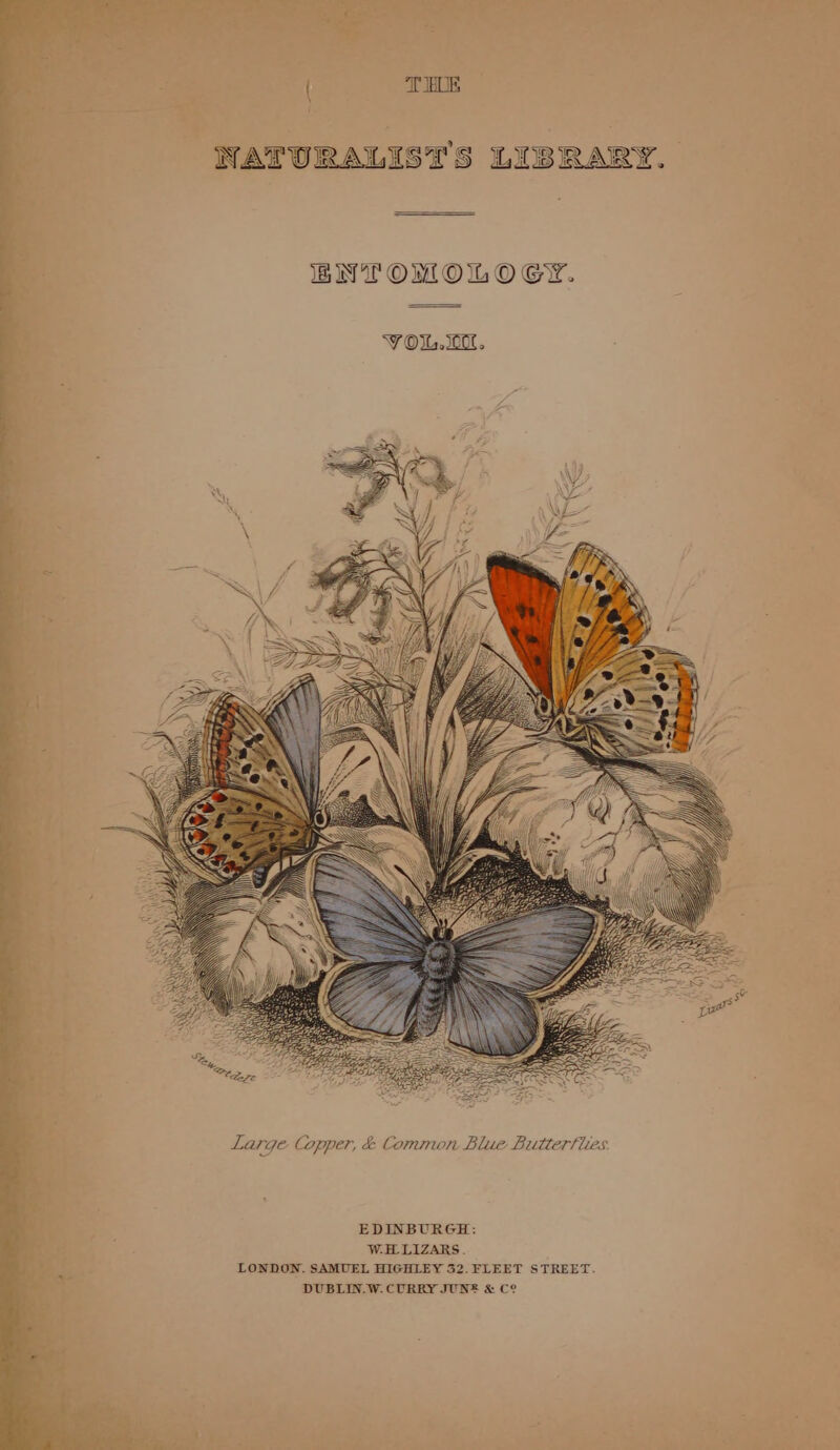 WATURALISTS LIBRARY. BIN 1! OO lb O GY. VY Ow. io, Large Copper, &amp; Common Blue Butterflies. EDINBURGH: W.H.LIZARS . LONDON. SAMUEL HIGHLEY 32.FLEET STREET. DUBLIN.W. CURRY JUN® &amp; C?