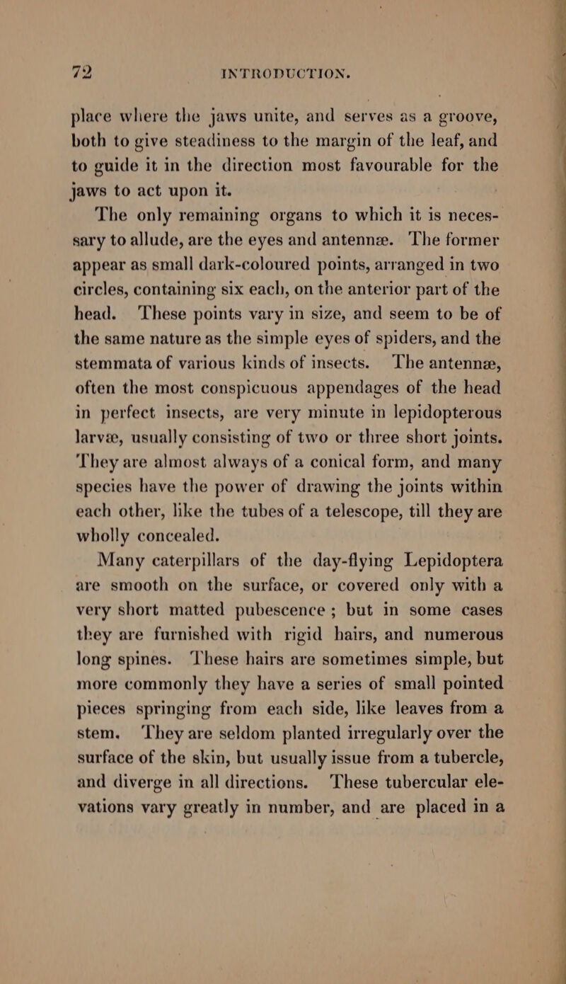 place where the jaws unite, and serves as a groove, both to give steadiness to the margin of the leaf, and to guide it in the direction most favourable for the jaws to act upon it. The only remaining organs to which it is neces- sary to allude, are the eyes and antennee. The former appear as small dark-coloured points, arranged in two circles, containing six each, on the anterior part of the head. ‘These points vary in size, and seem to be of the same nature as the simple eyes of spiders, and the stemmata of various kinds of insects. The antenna, often the most conspicuous appendages of the head in perfect insects, are very minute in lepidopterous larvae, usually consisting of two or three short joints. They are almost always of a conical form, and many species have the power of drawing the joints within each other, like the tubes of a telescope, till they are wholly concealed. Many caterpillars of the day-flying Lepidoptera are smooth on the surface, or covered only with a very short matted pubescence ; but in some cases they are furnished with rigid hairs, and numerous long spines. ‘These hairs are sometimes simple, but more commonly they have a series of small pointed pieces springing from each side, like leaves from a stem. ‘They are seldom planted irregularly over the surface of the skin, but usually issue from a tubercle, and diverge in all directions. These tubercular ele- vations vary greatly in number, and are placed in a DT LL ee le eee