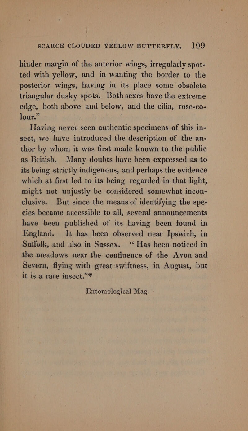 { SCARCE CLOUDED YELLOW BUTTERFLY. 109 hinder margin of the anterior wings, irregularly spot- ted with yellow, and in wanting the border to the posterior wings, having in its place some obsolete triangular dusky spots. Both sexes have the extreme edge, both above and below, and the cilia, rose-co- lour.” Having never seen authentic specimens of this in- sect, we have introduced the description of the au- thor by whom it was first made known to the public as British. Many doubts have been expressed as to its being strictly indigenous, and perhaps the evidence which at first led to its being regarded in that light, might not unjustly be considered somewhat incon- clusive. But since the means of identifying the spe- cies became accessible to all, several announcements have been published of its having been found in England. It has been observed near Ipswich, in Suffolk, and also in Sussex. ‘‘ Has been noticed in the meadows near the confluence of the Avon and Severn, flying with great swiftness, in August, but it is a rare insect.”* Entomological Mag.