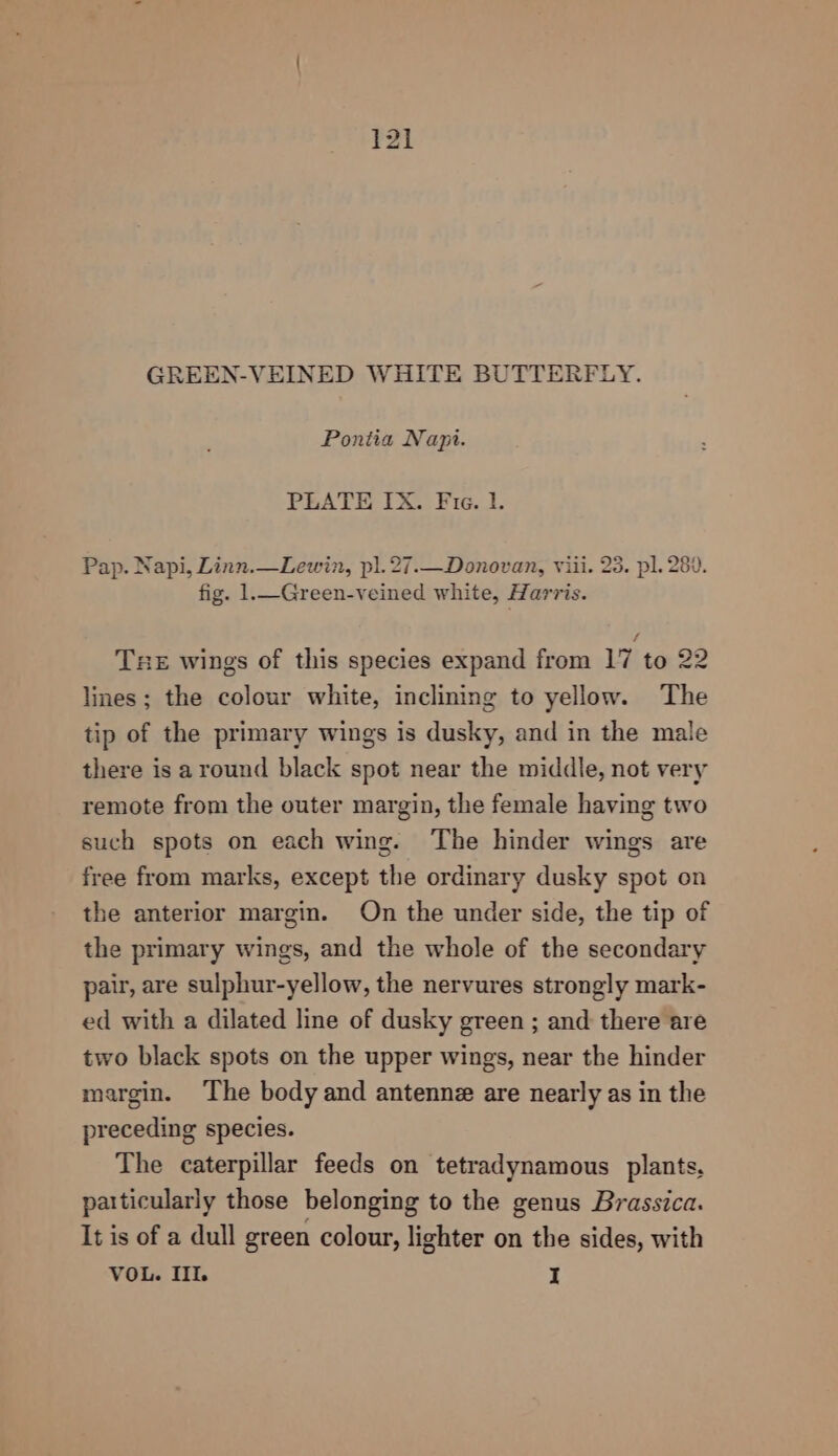 GREEN-VEINED WHITE BUTTERFLY. Pontia Napt. PLATE IX. Fie. 1. Pap. Napi, Linn.—Lewin, pl.27.—_Donovan, viii. 23. pl. 280. fig. 1.—Green-veined white, Harris. TxeE wings of this species expand from 17 to 22 lines; the colour white, inclining to yellow. The tip of the primary wings is dusky, and in the male there is around black spot near the middle, not very remote from the outer margin, the female having two such spots on each wing. The hinder wings are free from marks, except the ordinary dusky spot on the anterior margin. On the under side, the tip of the primary wings, and the whole of the secondary pair, are sulphur-yellow, the nervures strongly mark- ed with a dilated line of dusky green ; and there are two black spots on the upper wings, near the hinder margin. The body and antennz are nearly as in the preceding species. The caterpillar feeds on tetradynamous plants. patticularly those belonging to the genus Brassica. It is of a dull green colour, lighter on the sides, with VOL. III. I