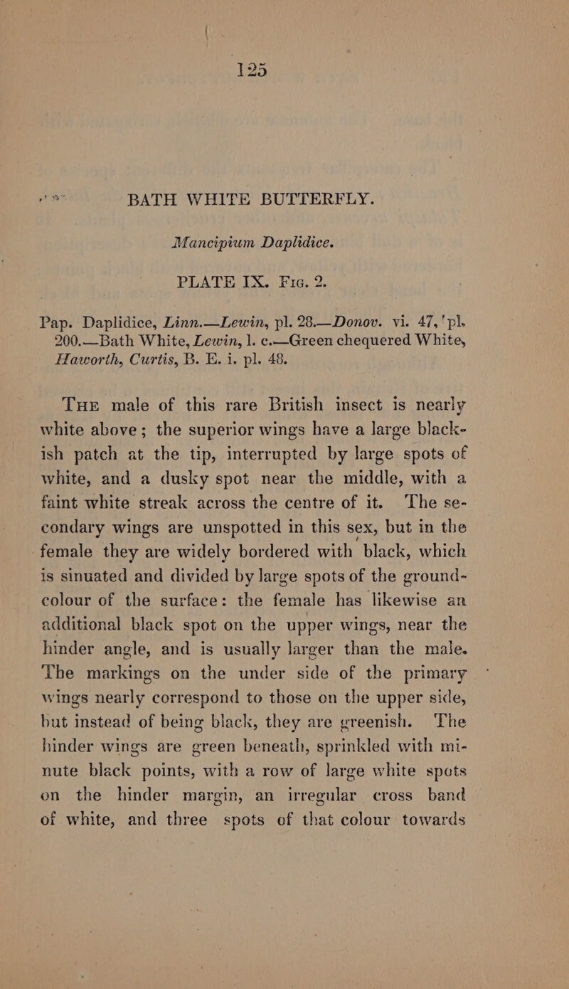 Mancipium Daplidice. PLATE IX. Fic. 2 Pap. Daplidice, Linn.—Lewin, pl. 28.—Donov. vi. 47,'pl. 200.—Bath White, Lewin, 1. c.—Green chequered White, Haworth, Curtis, B. E..1. pl. 48. THE male of this rare British insect is nearly white above; the superior wings have a large black- ish patch at the tip, interrupted by large spots of white, and a dusky spot near the middle, with a faint white streak across the centre of it. The se- condary wings are unspotted in this sex, but in the female they are widely bordered with black, which is sinuated and divided by large spots of the ground- colour of the surface: the female has likewise an additional black spot on the upper wings, near the hinder angle, and is usually larger than the male. The markings on the under side of the primary wings nearly correspond to those on the upper side, but instead of being black, they are greenish. The hinder wings are green beneath, sprinkled with mi- nute black points, with a row of large white spots on the hinder margin, an irregular cross band of white, and three spots of that colour towards