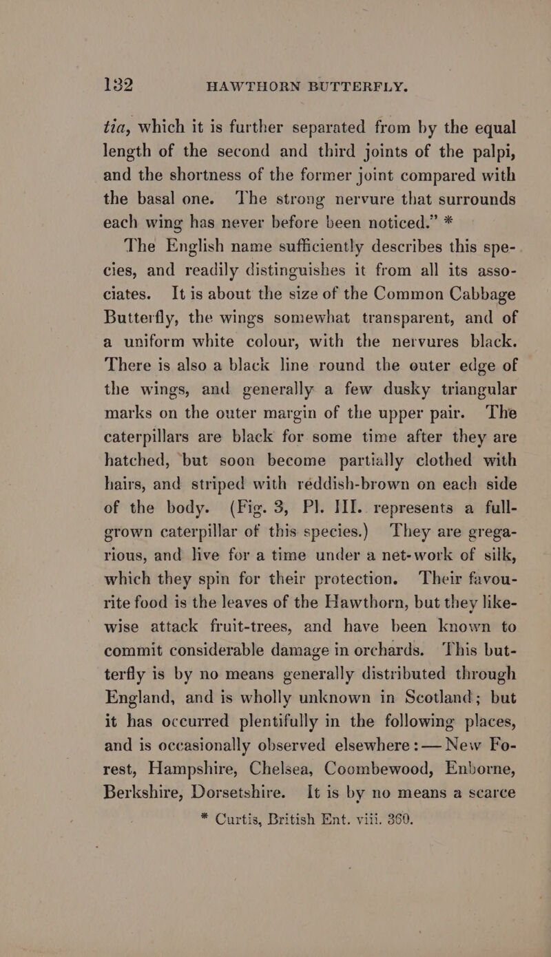 tia, which it is further separated from by the equal length of the second and third joints of the palpi, and the shortness of the former joint compared with the basal one. The strong nervure that surrounds each wing has never before been noticed.” * The English name sufficiently describes this spe- cies, and readily distinguishes it from all its asso- ciates. It is about the size of the Common Cabbage Butterfly, the wings somewhat transparent, and of a uniform white colour, with the nervures black. There is also a black line round the outer edge of the wings, and generally a few dusky triangular marks on the outer margin of the upper pair. The caterpillars are black for some time after they are hatched, but soon become partially clothed with hairs, and striped with réddish-brown on each side of the body. (Fig. 3, Pl. III. represents a full- grown caterpillar of this species.) They are grega- rious, and live for a time under a net-work of silk, which they spin for their protection. Their favou- rite food is the leaves of the Hawthorn, but they like- wise attack fruit-trees, and have been known to commit considerable damage in orchards. This but- terfly is by no means generally distributed through England, and is wholly unknown in Scotland; but it has occurred plentifully in the following places, and is occasionally observed elsewhere :— New Fo- rest, Hampshire, Chelsea, Coombewood, Enborne, Berkshire, Dorsetshire. It is by no means a scarce * Curtis, British Ent. viii. 360.