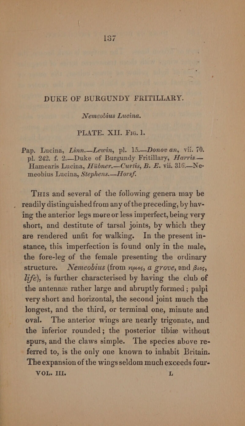 a Nemeobius Lucina. PLATE. XI. Fic. 1. Pap. Lucina, Linn.—Lewin, pl. 15.—Donov an, vii. 70. pl. 242. f. 2._-Duke of Burgundy Fritillary, Harris. — Hamearis Lucina, Hiibner.—Curiis, B. E. vii. 316.—Ne- meobius Lucina, Stephens.—Horsf. Tuts and several of the following genera may be readily distinguished from any of the preceding, by hav- ing the anterior legs mere or less imperfect, being very short, and destitute of tarsal joints, by which they stance, this imperfection is found only in the male, the fore-leg of the female presenting the ordinary structure. Nemeobius (from vos, a grove, and fies, life), is further characterised by having the club of the antennz rather large and abruptly formed ; palpi very short and horizontal, the second joint much the longest, and the third, or terminal one, minute and oval. ‘The anterior wings are nearly trigonate, and the inferior rounded; the posterior tibie without spurs, and the claws simple. The species above re- ferred to, is the only one known to inhabit Britain. The expansion of the wings seldom much exceeds four- VOL. III. L
