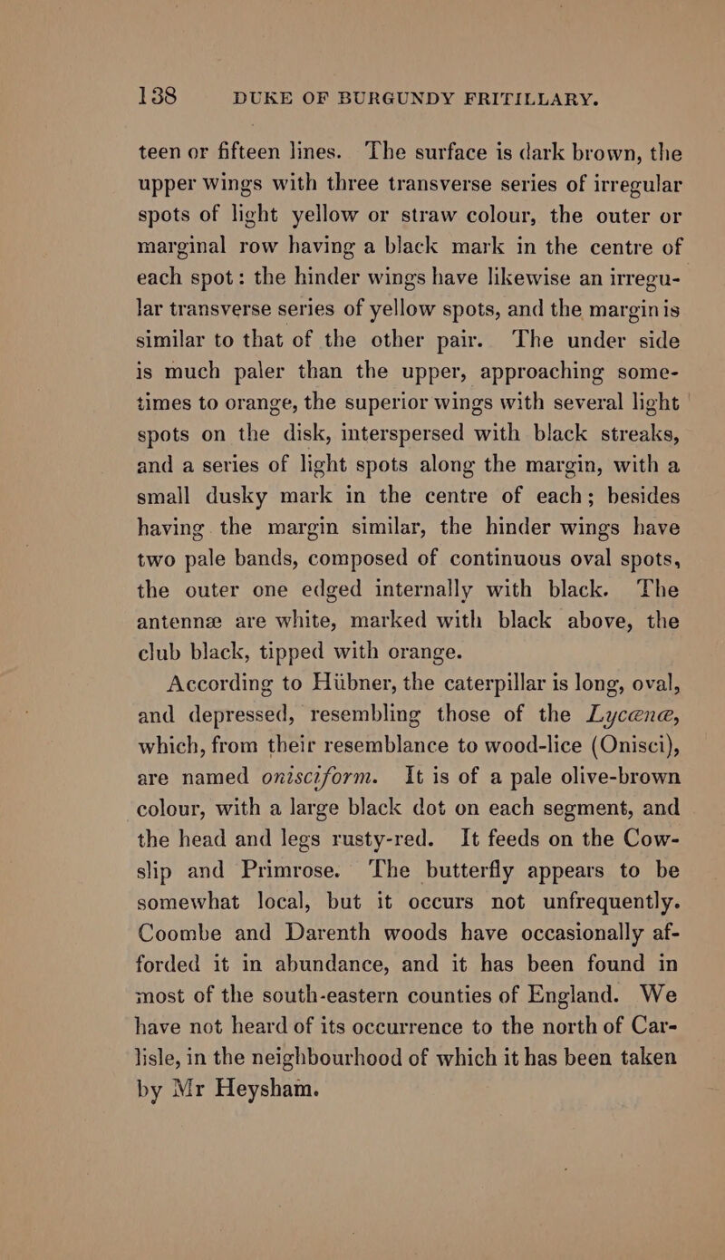 teen or fifteen lines. The surface is dark brown, the upper Wings with three transverse series of irregular spots of light yellow or straw colour, the outer or marginal row having a black mark in the centre of each spot: the hinder wings have likewise an irregu- lar transverse series of yellow spots, and the margin is similar to that of the other pair. The under side is much paler than the upper, approaching some- times to orange, the superior wings with several light spots on the disk, interspersed with black streaks, and a series of light spots along the margin, with a small dusky mark in the centre of each; besides having the margin similar, the hinder wings have two pale bands, composed of continuous oval spots, the outer one edged internally with black. The antenne are white, marked with black above, the club black, tipped with orange. According to Hubner, the caterpillar is long, oval, and depressed, resembling those of the Lycene, which, from their resemblance to wood-lice (Onisci), are named onisczform. It is of a pale olive-brown colour, with a large black dot on each segment, and the head and legs rusty-red. It feeds on the Cow- slip and Primrose. ‘The butterfly appears to be somewhat local, but it occurs not unfrequently. Coombe and Darenth woods have occasionally af- forded it in abundance, and it has been found in most of the south-eastern counties of England. We have not heard of its occurrence to the north of Car- lisle, in the neighbourhood of which it has been taken by Mr Heysham.
