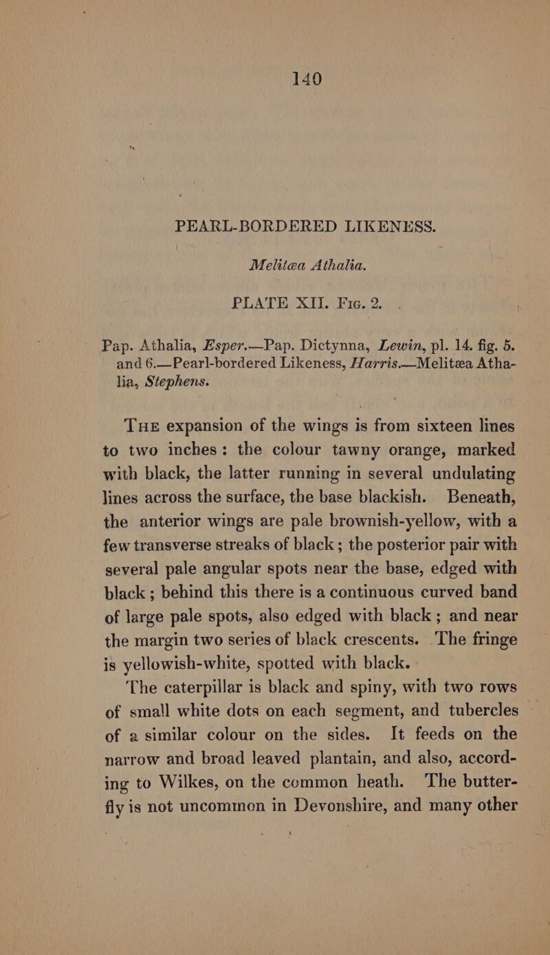 PEARL-BORDERED LIKENESS. Meliiea Athalia. PLATE XII. Fie. 2. Pap. Athalia, Esper.—Pap. Dictynna, Lewin, pl. .14. fig. 5. and 6.—Pear]l-bordered Likeness, Harris.—Melitea Atha- lia, Stephens. THE expansion of the wings is from sixteen lines to two inches: the colour tawny orange, marked with black, the latter running in several undulating lines across the surface, the base blackish. Beneath, the anterior wings are pale brownish-yellow, with a few transverse streaks of black ; the posterior pair with several pale angular spots near the base, edged with black ; behind this there is a continuous curved band of large pale spots, also edged with black ; and near the margin two series of black crescents. The fringe is yellowish-white, spotted with black. - The caterpillar is black and spiny, with two rows of small white dots on each segment, and tubercles of a similar colour on the sides. It feeds on the narrow and broad leaved plantain, and also, accord- ing to Wilkes, on the common heath. The butter- fly is not uncommen in Devonshire, and many other