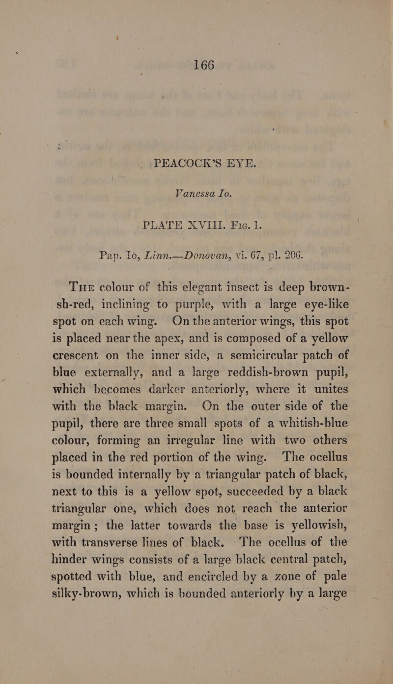 _ | PEACOCK’S EYE. Vanessa fo. PLATE XVIII. Fie. 1. Pap. Io, Linn.—Donovan, vi. 67, pl. 206. Tue colour of this elegant insect is deep brown- sh-red, inclining to purple, with a large eye-like spot on each wing. On the anterior wings, this spot is placed near the apex, and is composed of a yellow crescent on the inner side, a semicircular patch of blue externally, and a large reddish-brown pupil, which becomes darker anteriorly, where it unites with the black margin. On the outer side of the pupil, there are three small spots of a whitish-blue colour, forming an irregular line with two others placed in the red portion of the wing. The ocellus is bounded internally by a triangular patch of black, next to this is a yellow spot, succeeded by a black triangular one, which does not reach the anterior margin; the latter towards the base is yellowish, with transverse lines of black. The ocellus of the hinder wings consists of a large black central patch, spotted with blue, and encircled by a zone of pale silky-brown, which is bounded anteriorly by a large