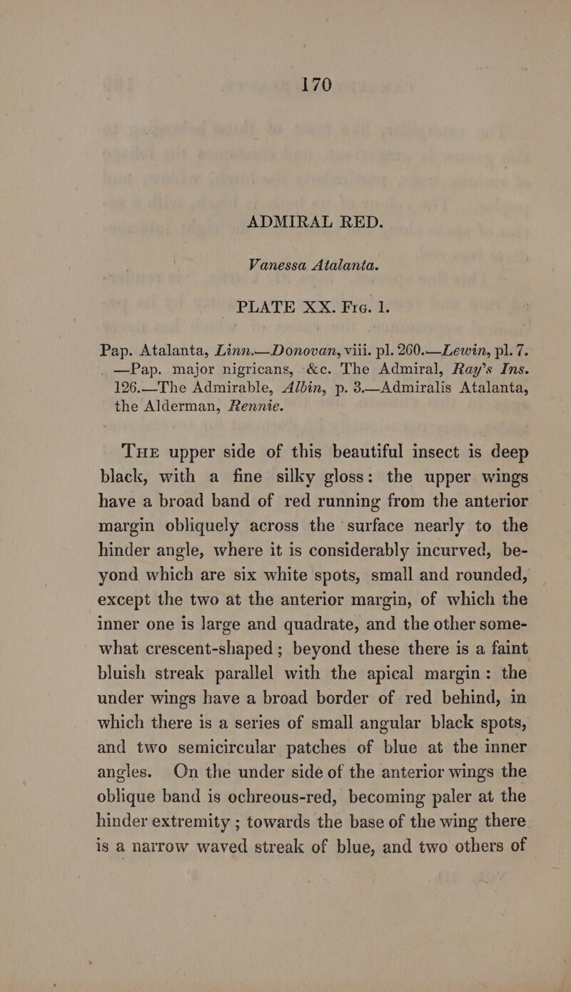 ADMIRAL RED. Vanessa Atalanta. PLATE XX. Fre. 1. Pap. Atalanta, Linn.—Donovan, viii. pl. 260.—Lewin, pl. 7. —Pap. major nigricans, &amp;c. The Admiral, Ray’s Ins. 126.—The Admirable, Albin, p. 3—Admiralis Atalanta, the Alderman, Rennie. THE upper side of this beautiful insect is deep black, with a fine silky gloss: the upper wings have a broad band of red running from the anterior margin obliquely across the surface nearly to the hinder angle, where it is considerably incurved, be- yond which are six white spots, small and rounded, except the two at the anterior margin, of which the inner one is large and quadrate, and the other some- what crescent-shaped ; beyond these there is a faint bluish streak parallel with the apical margin: the under wings have a broad border of red behind, in which there is a series of small angular black spots, and two semicircular patches of blue at the inner angles. On the under side of the anterior wings the oblique band is ochreous-red, becoming paler at the hinder extremity ; towards the base of the wing there is a narrow waved streak of blue, and two others of