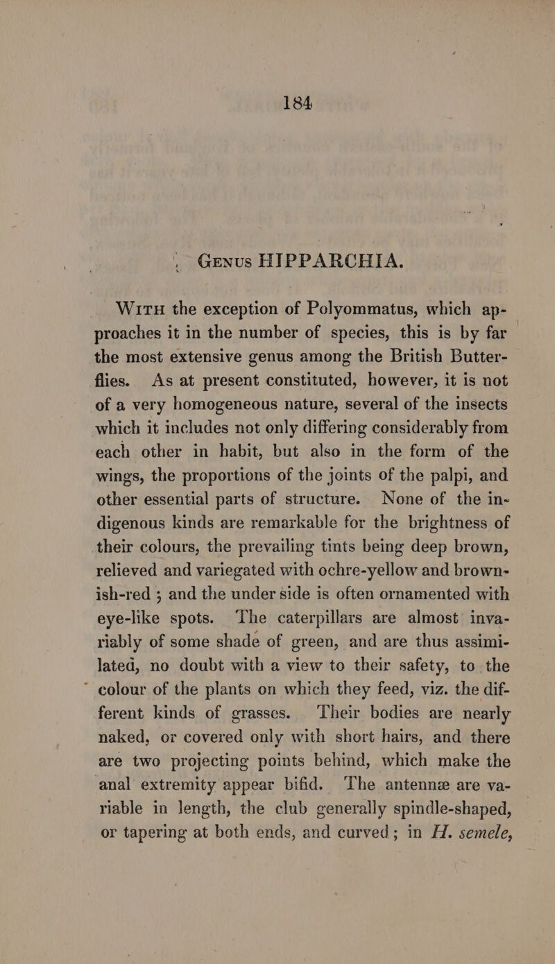 , Genus HIPPARCHIA. Witu the exception of Polyommatus, which ap- proaches it in the number of species, this is by far the most extensive genus among the British Butter- flies. As at present constituted, however, it is not of a very homogeneous nature, several of the insects which it includes not only differing considerably from each other in habit, but also in the form of the wings, the proportions of the joints of the palpi, and other essential parts of structure. None of the in- digenous kinds are remarkable for the brightness of their colours, the prevailing tints being deep brown, relieved and variegated with ochre-yellow and brown- ish-red ; and the under side is often ornamented with eye-like spots. The caterpillars are almost inva- riably of some shade of green, and are thus assimi- lated, no doubt with a view to their safety, to the colour of the plants on which they feed, viz. the dif- ferent kinds of grasses. Their bodies are nearly naked, or covered only with short hairs, and there are two projecting points behind, which make the anal extremity appear bifid. The antennz are va- riable in length, the club generally spindle-shaped, or tapering at both ends, and curved; in H. semele,