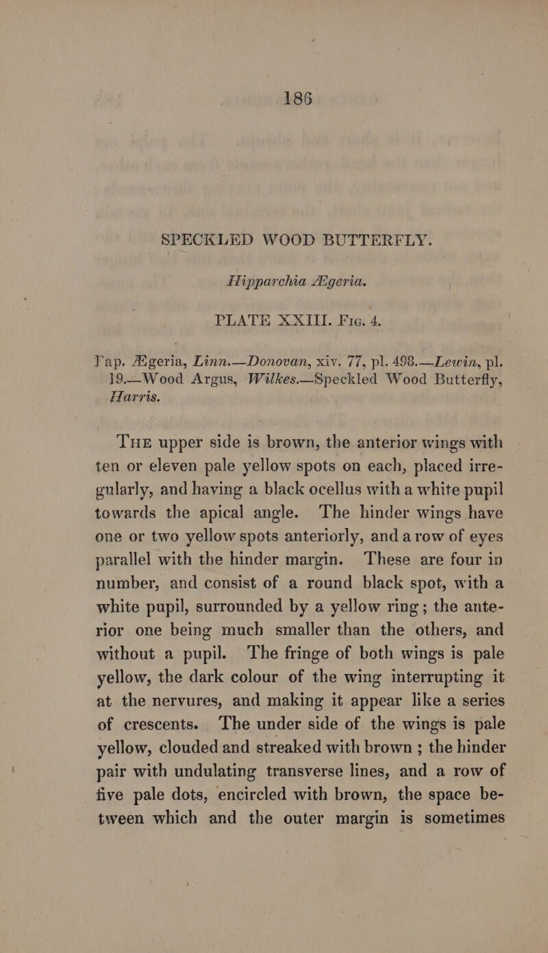 SPECKLED WOOD BUTTERFLY. Fipparchia Atgeria. PLATE XXII. Frc. 4. Pap. Ageria, Linn.—Donovan, xiv. 77, pl. 498.—Lewin, pl. 19.—Wood Argus, Wilkes.—Speckled Wood Butterfly, Harris. THE upper side is brown, the anterior wings with ten or eleven pale yellow spots on each, placed irre- gularly, and having a black ocellus with a white pupil towards the apical angle. The hinder wings have one or two yellow spots anteriorly, and a row of eyes parallel with the hinder margin. These are four in number, and consist of a round black spot, with a white pupil, surrounded by a yellow ring; the ante- rior one being much smaller than the others, and without a pupil. The fringe of both wings is pale yellow, the dark colour of the wing interrupting it at the nervures, and making it appear like a series of crescents. The under side of the wings is pale yellow, clouded and streaked with brown ; the hinder pair with undulating transverse lines, and a row of five pale dots, encircled with brown, the space be- tween which and the outer margin is sometimes