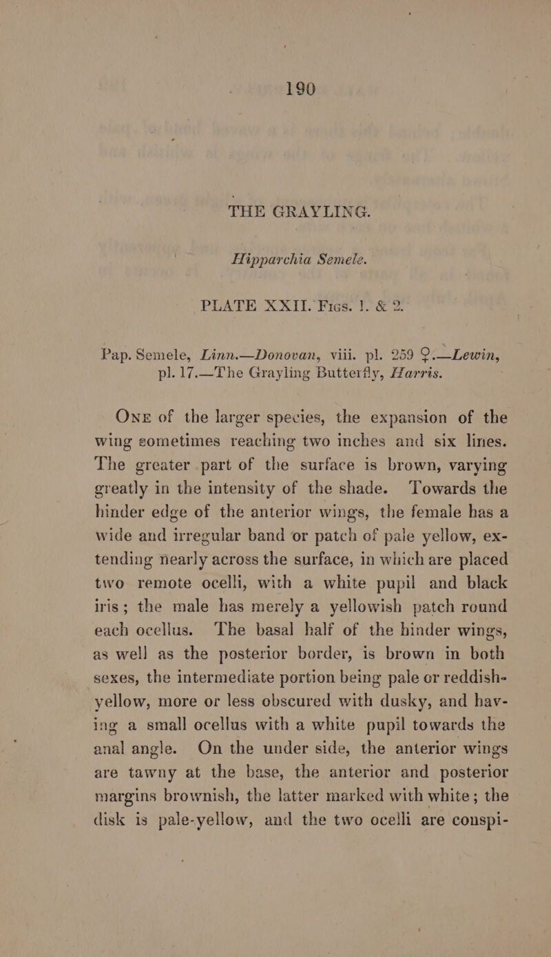 THE GRAYLING. Hipparchia Semele. PLATE XXII. Figs. }. &amp; 2. Pap. Semele, Linn.—Donovan, viii. pl. 259 9.—Lewin, pl. 17.—The Grayling Butterfly, Harris. One of the larger species, the expansion of the wing cometimes reaching two inches and six lines. The greater part of the surface is brown, varying greatly in the intensity of the shade. Towards the hinder edge of the anterior wings, the female has a wide and irregular band or patch of pale yellow, ex- tending nearly across the surface, in which are placed two remote ocelli, with a white pupil and black iris; the male bas merely a yellowish patch round each ocellus. The basal half of the hinder wings, as well as the posterior border, is brown in both sexes, the intermediate portion being pale or reddish- yellow, more or less obscured with dusky, and hav- ing a small ocellus with a white pupil towards the anal angle. On the under side, the anterior wings are tawny at the base, the anterior and posterior margins brownish, the latter marked with white ; the disk is pale-yellow, and the two ocelli are conspi-