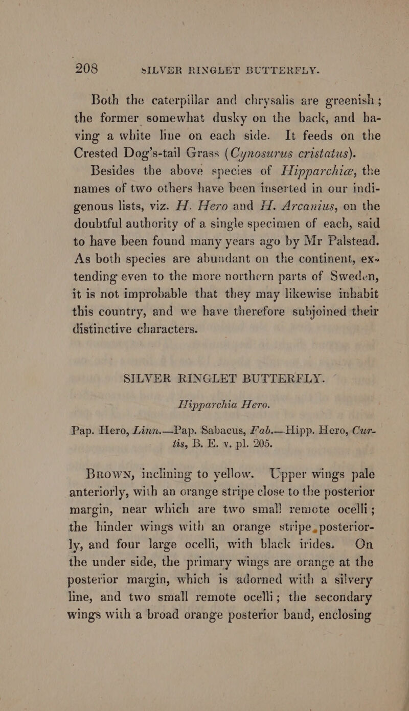 Both the caterpillar and chrysalis are greenish ; the former somewhat dusky on the back, and ha- ving a white line on each side. It feeds on the Crested Dog’s-tail Grass (Cynosurus cristatus). Besides the above species of Hipparchie, the names of two others have been inserted in our indi- genous lists, viz. H. Hero and H. Arcanius, on the doubtful authority of a single specimen of each, said to have been found many years ago by Mr Palstead. As both species are abundant on the continent, ex« tending even to the more northern parts of Sweden, it is not improbable that they may likewise inhabit this country, and we have therefore subjoined their distinctive characters. SILVER RINGLET BUTTERFLY. Hipparchia Hero. Pap. Hero, Linn.—Pap. Sabacus, £ab.—Hlipp. Hero, Cur- tis, B. E. v. pl. 205. Brown, inclining to yellow. Upper wings pale anteriorly, with an orange stripe close to the posterior margin, near which are two smal! remote ocelli; the hinder wings with an orange stripe, posterior- ly, and four large ocelli, with black irides. On the under side, the primary wings are orange at the posterior margin, which is adorned with a silvery line, and two small remote ocelli; the secondary wing's with a broad orange posterior band, enclosing