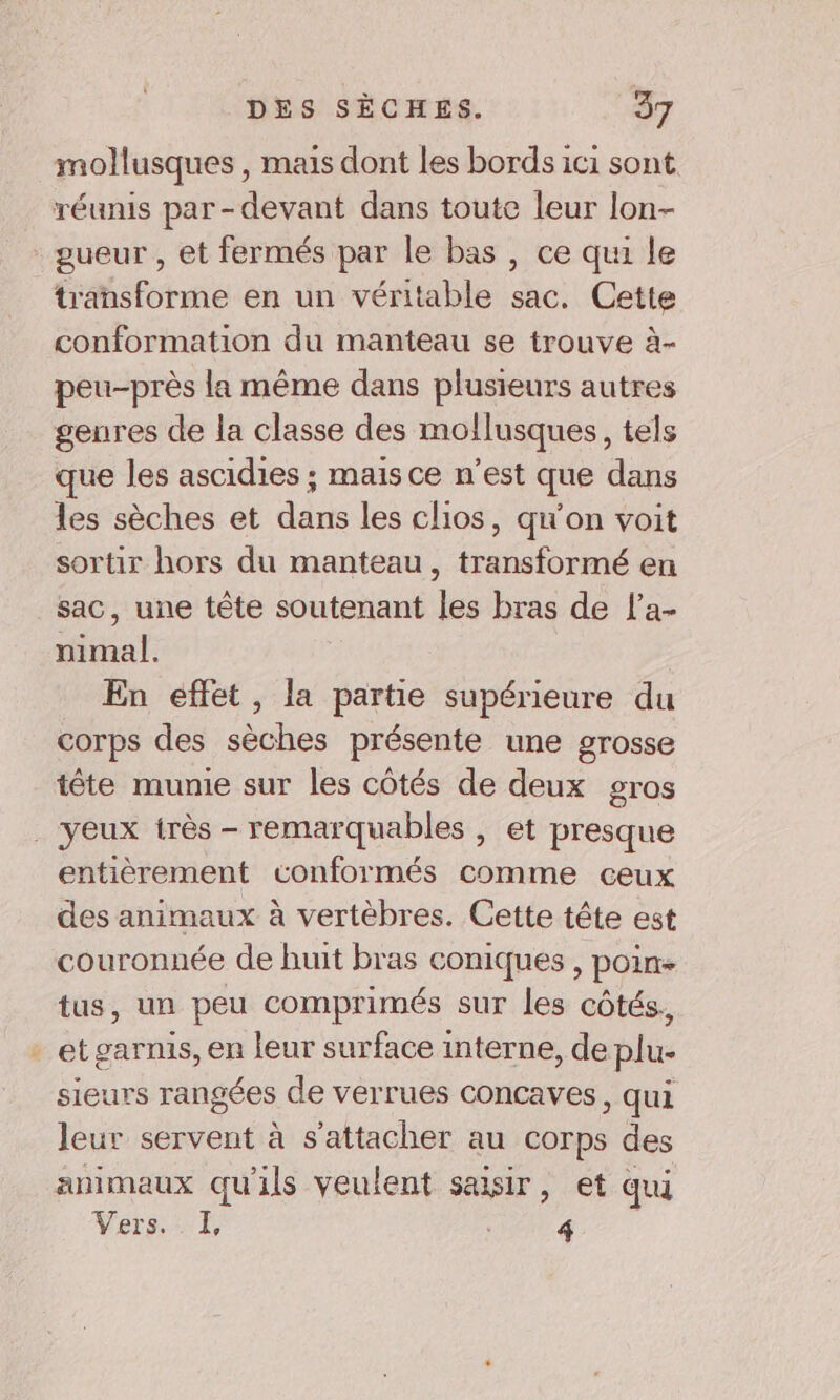 mollusques , mais dont les bords ici sont réunis par-devant dans toute leur lon- gueur , et fermés par le bas, ce qui le transforme en un véritable sac. Cette conformation du manteau se trouve à- peu-près la même dans plusieurs autres genres de la classe des mollusques, tels que les ascidies ; mais ce n’est que dans les sèches et dans les clios, qu'on voit sortir hors du manteau, transformé en sac, une tête soutenant les bras de l’a- nimal. En effet, la partie supérieure du corps des sèches présente une grosse tête munie sur les côtés de deux gros . yeux très - remarquables , et presque entièrement conformés comme ceux des animaux à vertèbres. Cette tête est couronnée de huit bras coniques , poin tus, un peu comprimés sur les côtés, - et garnis, en leur surface interne, de plu- sieurs rangées de verrues concaves , qui leur servent à s'attacher au corps des animaux qu'ils veulent saisir, et qui Vers. 4