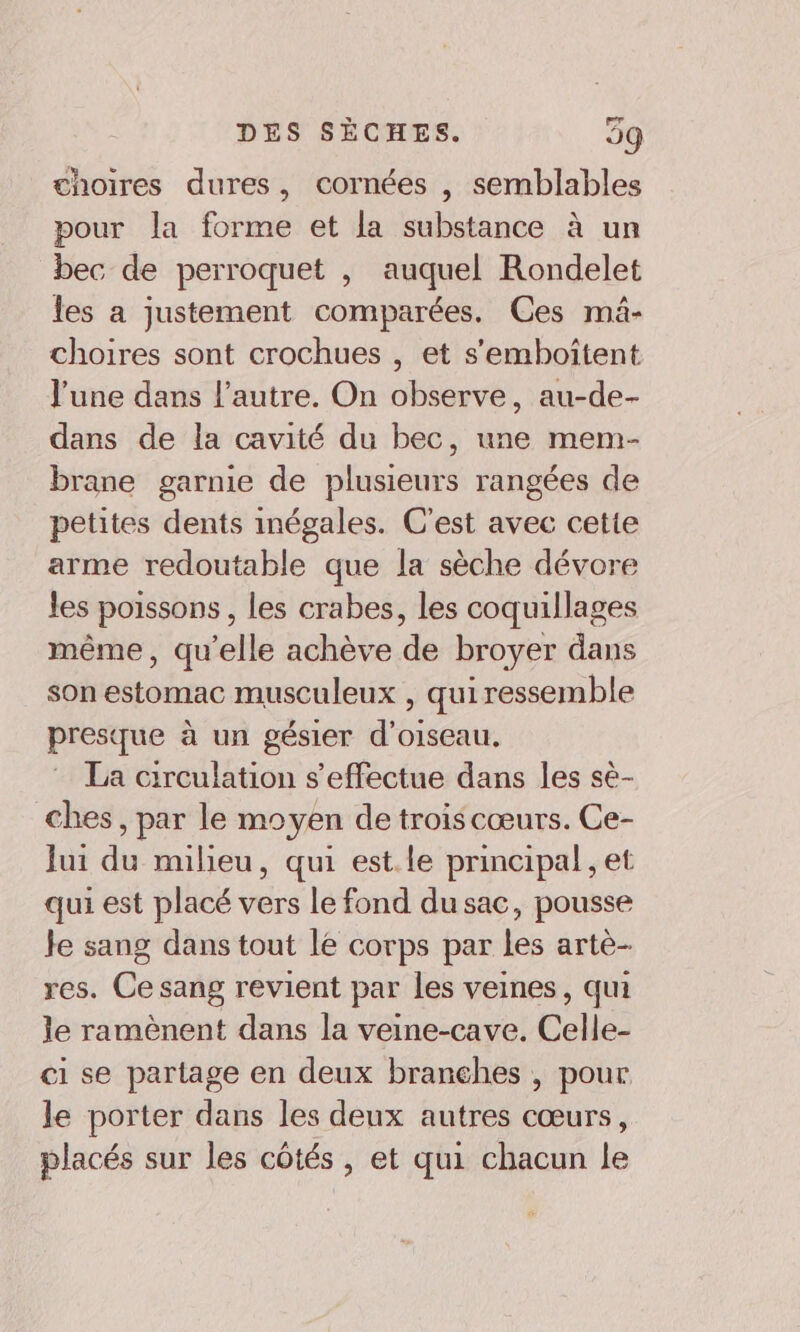 choires dures, cornées , semblables pour la forme et la substance à un bec de perroquet , auquel Rondelet les a justement comparées. Ces mûâ- choires sont crochues , et s’'emboîtent l'une dans l’autre. On observe, au-de- dans de la cavité du bec, une mem- brane garnie de plusieurs rangées de petites dents inégales. C'est avec cette arme redoutable que la sèche dévore les poissons , les crabes, les coquillages même, qu’elle achève de broyer dans son estomac musculeux , quiressemble presque à un gésier d'oiseau. La circulation s'effectue dans les sè- ches, par le moyen de trois cœurs. Ce- lui du milieu, qui est.le principal , et qui est placé vers le fond du sac, pousse Je sang dans tout lé corps par les artè- res. Ce sang revient par les veines, qui le ramènent dans la veine-cave. Celle- ci se partage en deux branches , pour le porter dans les deux autres cœurs, placés sur les côtés , et qui chacun le