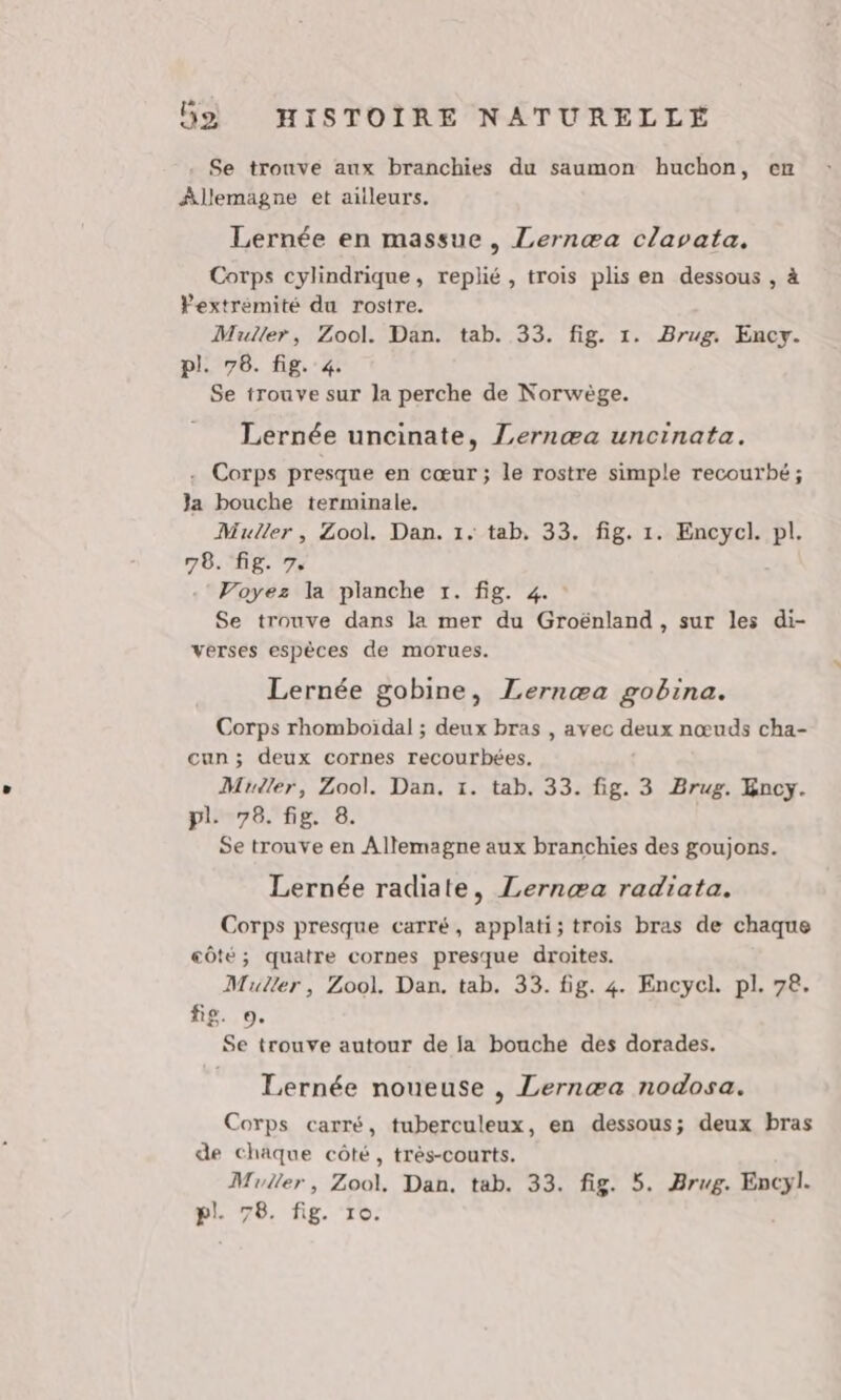 Se trouve aux branchies du saumon huchon, en Allemagne et ailleurs. Lernée en massue, Lernæa clavata. Corps cylindrique, replié , trois plis en dessous , à Pextrémité du rostre. Muller, Zool. Dan. tab. 33. fig. 1. Brug. Ency. pl. 76. fig. 4. Se trouve sur la perche de Norwège. Lernée uncinate, Lernæa uncinata. . Corps presque en cœur ; le rostre simple recourbé ; Ja bouche terminale. Muller, Zool. Dan. 1. tab, 33. fig. 1. Encycl. pl. 78. fig. 7, Voyez la planche 1. fig. 4. Se trouve dans la mer du Groënland , sur les di- verses espèces de morues. Lernée gobine, Lernæa gobina. Corps rhomboïdal ; deux bras , avec deux nœuds cha- cun ; deux cornes recourbées. Mrudler, Zool. Dan. 1. tab. 33. fig. 3 Brug. Ency. pl. 76. fig. 8. Se trouve en Allemagne aux branchies des goujons. Lernée radiate, Lernæa radiata. Corps presque carré, applati; trois bras de chaque côté; quatre cornes presque droites. Muller, Zool. Dan. tab. 33. fig. 4. Encycl. pl. 78. fig. o. Se trouve autour de la bouche des dorades. Lernée noueuse , Lernæa nodosa. Corps carré, tuberculeux, en dessous; deux bras de chaque côté, très-courts. Muller, Zool. Dan, tab. 33. fig. $. Brug. Encyl. pl. 78. fig. 10.