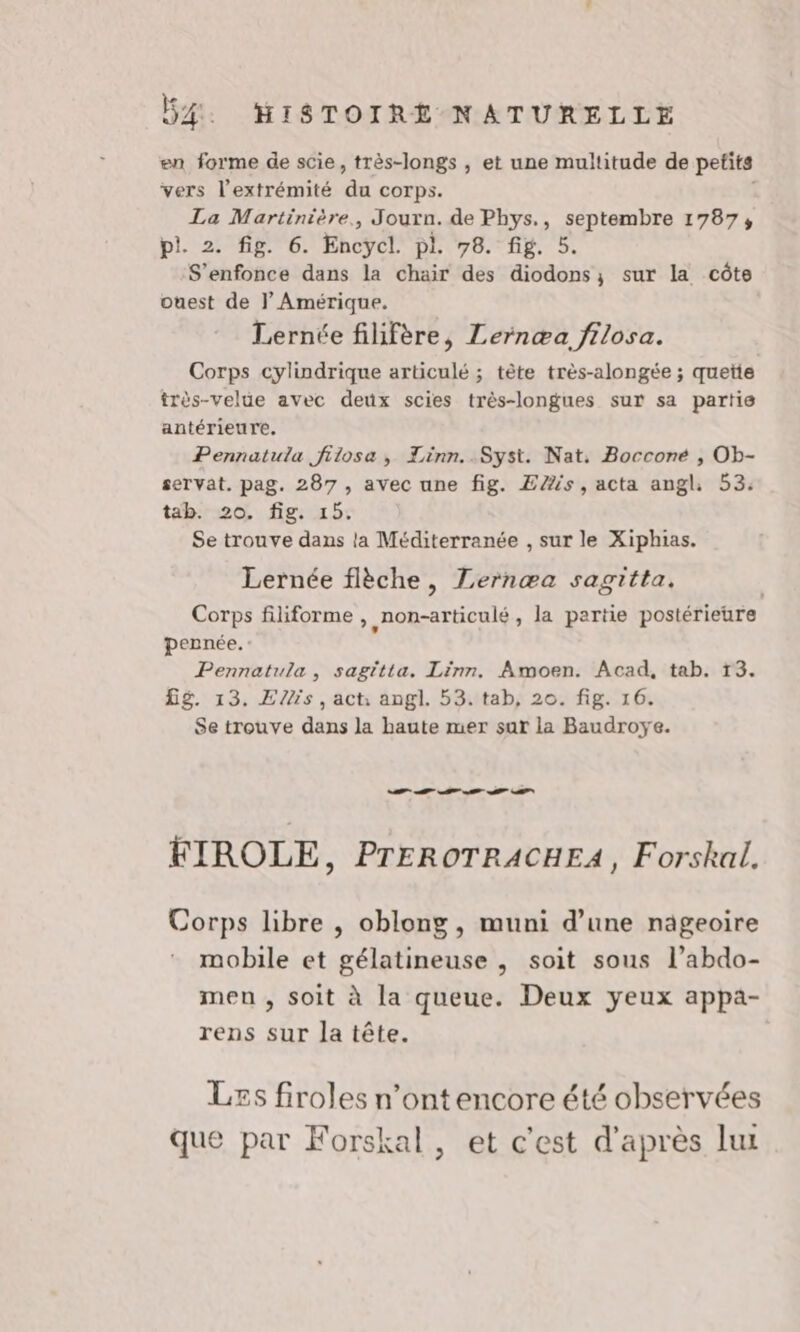 en forme de scie, très-longs , et une multitude de petits vers l'extrémité du corps. | La Martinière. Journ. de Phys., septembre 1787, pl. 2. fig. 6. Encycl. pl. 78. fig. 5. S’enfonce dans la chair des diodons; sur la côte ouest de } Amérique. Lernée filifère, Lernæa filosa. Corps cylindrique articulé ; tête très-alongée ; quetie très-velue avec deux scies très-longues sur sa partis antérieure. Pennatula jfilosa, Linn..Syst. Nat. Bocconé , Ob- servat. pag. 287, avec une fig. Es, acta angl: 53. tab. 20. fig. 15. Se trouve dans la Méditerranée , sur le Xiphias. Lernée flèche, ZLernæa sagitta. Corps filiforme , non-articulé , la pertie postérieure pennée. Pennatula, sagitta. Linn. Amoen. Acad, tab. T3. fig. 13. Ellis, act, angl. 53. tab, 20. fig. 16. Se trouve dans la haute mer sur la Baudroye. EE ET FIROLE , PTEROTRACHEA, Forskal. Corps libre , oblong, muni d’une nageoire mobile et gélatineuse , soit sous l’abdo- men , soit à la queue. Deux yeux appa- rens sur la tête. Les firoles n’ont encore été observées que par Forskal, et c'est d'après lui