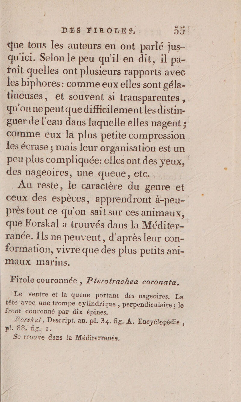 DÉS FIROLEE, 55! que tous les auteurs en ont parlé jus- qu'ici. Selon le peu qu'il en dit, il pa- oit quelles ont plusieurs rapports avec es biphores: comme eux elles sont géla- tineuses, et souvent si transparentes , . qu'on ne peut que difficilement les distin- guer de l’eau dans laquelle elles nagent ; comme eux la plus petite compression les écrase ; mais leur organisation est un peu plus compliquée: elles ont des yeux, des nageoires, une queue, etc. . Au reste, le caractère du genre et ceux des espèces, apprendront à-peu- près tout ce qu'on sait sur ces animaux, | que Forskal a trouvés dans la Méditer- ranée, Ils ne peuvent, d'après leur con- formation, vivre que des plus petits ani- maux marins. Firole couronnée , Pterotrachea coronata. . Le ventre et la queue portant des nageoires. La tête avec une trompe cylindrique , perpendiculaire ; le front couronné par dix épines. Forskal, Descript. an, pl. 34. fig. A. Encyclopédie , pl. 88. fig. 1. $e trouve dans la Méditerranée,