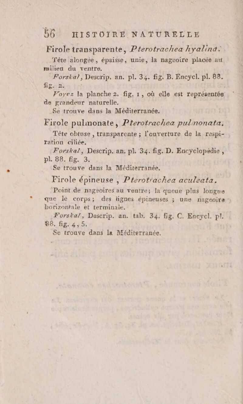 Firole transparente, Pterotrachea hyalina Fête alongée, épaisse, unie, la nageoire placée au milieu du ventre. Forskat, Descrip, an. pl. 34. fig. B. Encycl. pl. 88. fig. 2. Voyez la planche 2, fig, 1, où elle est représentée de grandeur naturelle. Se trouve dans la Méditerranée. Firole pulmonate, Pterotrachea pulnonata. Tête obtuse , transparente ; l'ouverture de la respi- ration ciliée. Forska?, Descrip. an. pl. 34. fig. D. Encyclopédie, pl. 88. Gg. 3. Se trouve dans la Méditerranée. Firole épineuse , Pterotrachea aculeata. Point de nageoires au ventre; la queue plus longne que le corps; des lignes épineuses ; une nageoire borizontale et terminaie. Forskal, Descrip. an. tab. 34. fig. C. Encycl. pl. 88. fig. 4,5.