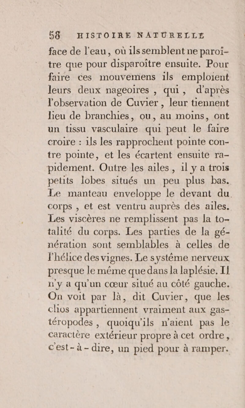 face de l’eau, où 1ls semblent ne paroï- tre que pour ‘disparoître ensuite. Pour faire ces imouvemens ils emploient leurs deux nageoires , qui, d’après l'observation de Cuvier , leur tiennent lieu de branchies, ou, au moins, ont un tissu vasculaire qui peut le faire croire : 1ls les rapprochent pointe con- tre pointe, et les écartent ensuite ra- pidement. Outre les ailes, 1l y a trois petits lobes situés un peu plus bas. Le manteau enveloppe le devant du. corps , et est ventru auprès des ailes. Les viscères ne remplissent pas la to- talité du corps. Les parties de la gé- nération sont semblables à celles de lhélice des vignes. Le systéme nerveux presque le même que dans la laplésie. T1 n'y a qu'un cœur situé au côté gauche. On voit par là, dit Cuvier, que les chos appartiennent vraiment aux gas- téropodes , quoiqu'ils n’aient pas le caractère extérieur propre à cet ordre, cest-à- dire, un pied pour à ramper.