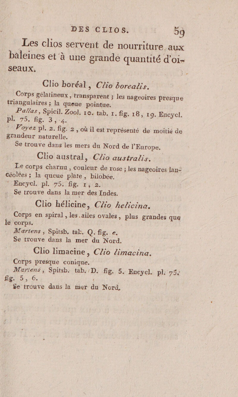 Les clios servent de nourriture. aux baleines et'à une grande quantité d’oi- seaux, Clio boréal , Clio borealis. Corps gélatineux, transparent ; les nageoires presque triangulaires ; la queue pointue. Pallas, Spicil. Zool. 10. tab. r. fig. 18, 19. Encycl. DE 75. fig. 3,4. Voyez pl. 2. fig. 2, où il est représenté de moitié de grandeur naturelle. Se trouve dans les mers du Nord de l'Europe. Clio austral, Clio australis. Le corps charnu , couleur de rose ; les nageoires lan- céolées ; la queue plate, bilobée. !  Encyel. pl. 75: fig. 1, 2. Se trouve dans la mer des Indes. Clio hélicine, CAo helicina. Corps en spiral , les ailes ovales &gt; Plus grandes que le corps. Wartens ; Spitsb. tab. Q. fig. e. Se trouve dans la mer du Nord. Clio limacine, CZio Zimacina. Corps presque conique. Mariens, Spitsb. tab. D. fig. 5. Encycl. pl: 754 fig. 5, 6. , Se trouve dans la mer du Nord,