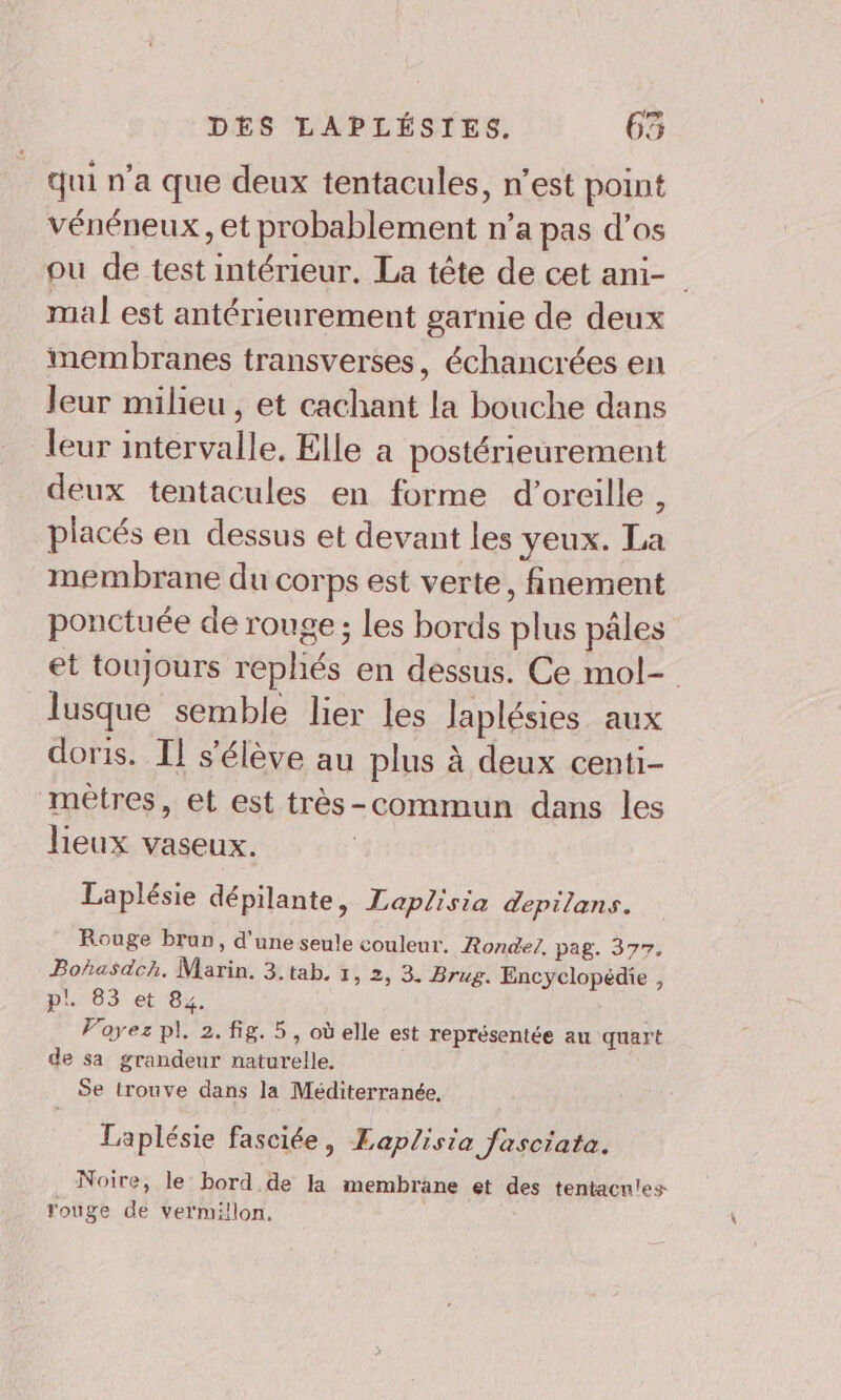 qui n’a que deux tentacules, n’est point vénéneux, et probablement n’a pas d’os ou de test intérieur. La tête de cet ami- mal est antérieurement garnie de deux membranes transverses, échancrées en Jeur milieu , et cachant la bouche dans leur intervalle. Elle à postérieurement deux tentacules en forme d'oreille, placés en dessus et devant les yeux. La membrane du corps est verte, finement ponctuée de rouge ; les bords plus pâles et toujours repliés en dessus. Ce mol- lusque semble lier les Japlésies aux doris. Il s'élève au plus à deux centi- metres, et est très-commun dans les lieux vaseux. Laplésie dépilante, Laplisia depilans. Rouge brun, d’une seule couleur. RondeZ. pag. 377, Bohasdch. Marin. 3. tab. 1, 2, 3. Brug. Encyclopédie , p!. 83 et 84. Voyez pl. 2. fig. 5, où elle est représentée au quart de sa grandeur naturelle, Se trouve dans la Méditerranée, Laplésie fasciée, Laplisia fasciata. Noire, le’ bord. de la membrane et des tentacntes rouge de vermillon,