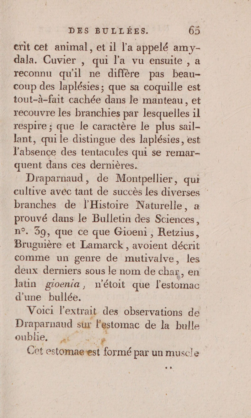 erit cet animal , et il l'a appelé amy- dala. Cuvier , qui l’a vu ensuite , a reconnu qu'il ne diffère pas beau- coup des laplésies; que sa coquille est tout-à-fait cachée dans le manteau, et recouvre les branchies par lesquelles il respire ; que le caractère le plus sail- lant, qui le distingue des laplésies, est l'absence des tentacules qui se remar- quent dans ces dernières. Draparnaud, de Montpellier, qui cultive avéc tant de succès les diverses ‘ branches de l'Histoire Naturelle, a prouvé dans le Bulletin des Sciences, n°. 59, que ce que Giveni , Retzius, Bruguière et Lamarck , avoient décrit comme un genre de mutivalve, les deux derniers sous le nom de dr en laun gioenia, n'étoit que lestoto d'une bullée. | Voici l'extrait des observations de Draparnaud sur l'estomac de la bulle _ oublie, Vs Cet estomae-est formé par un muscle